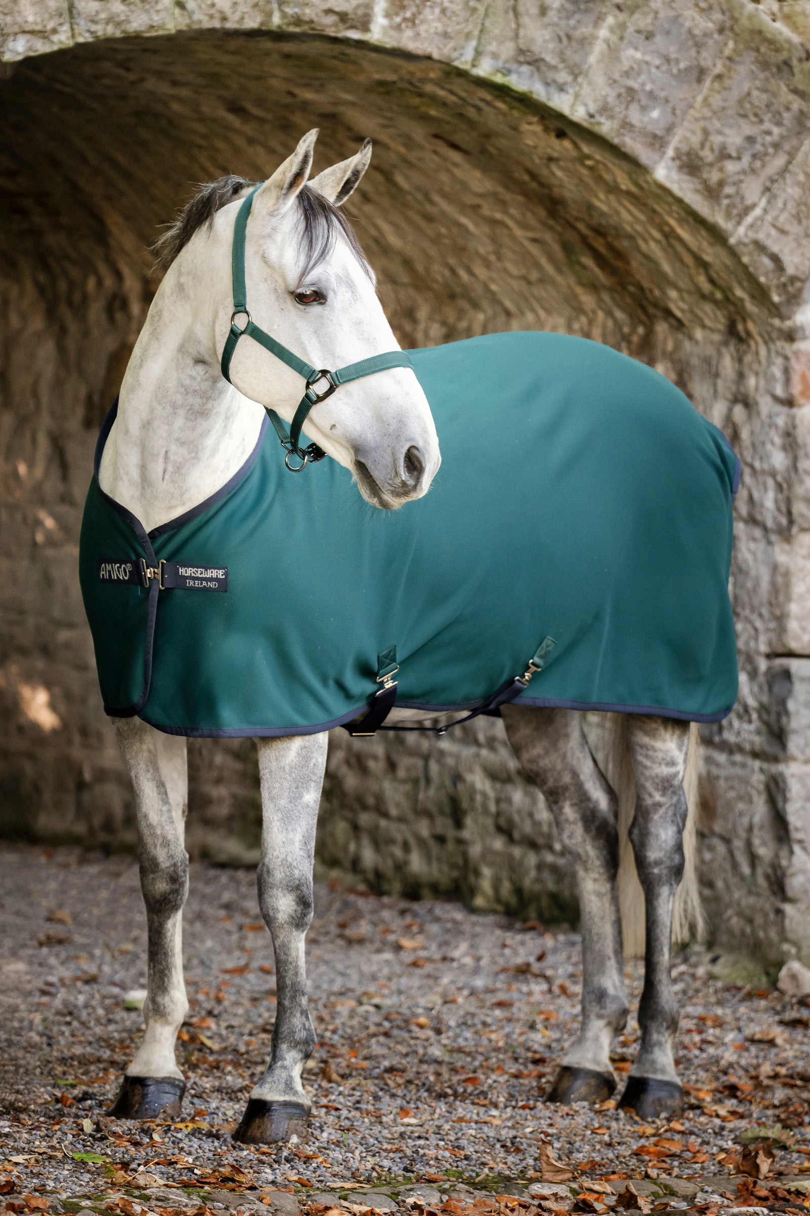 Horseware Amigo derka osuszająca jersey
