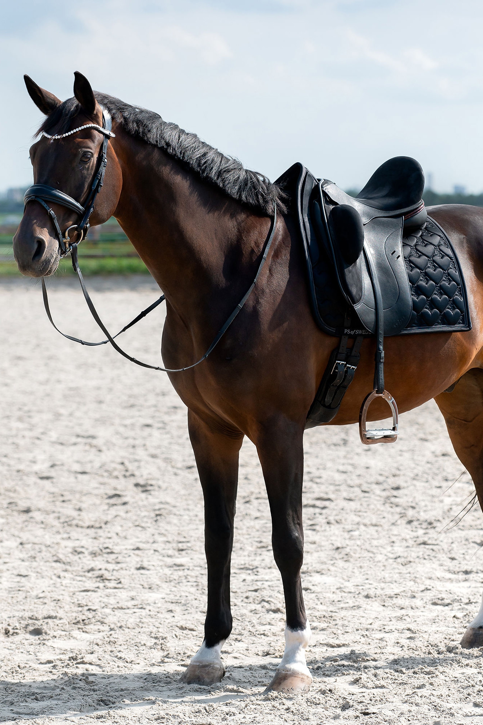 PS of Sweden Serce Siodłowy materiał do ujeżdżenia