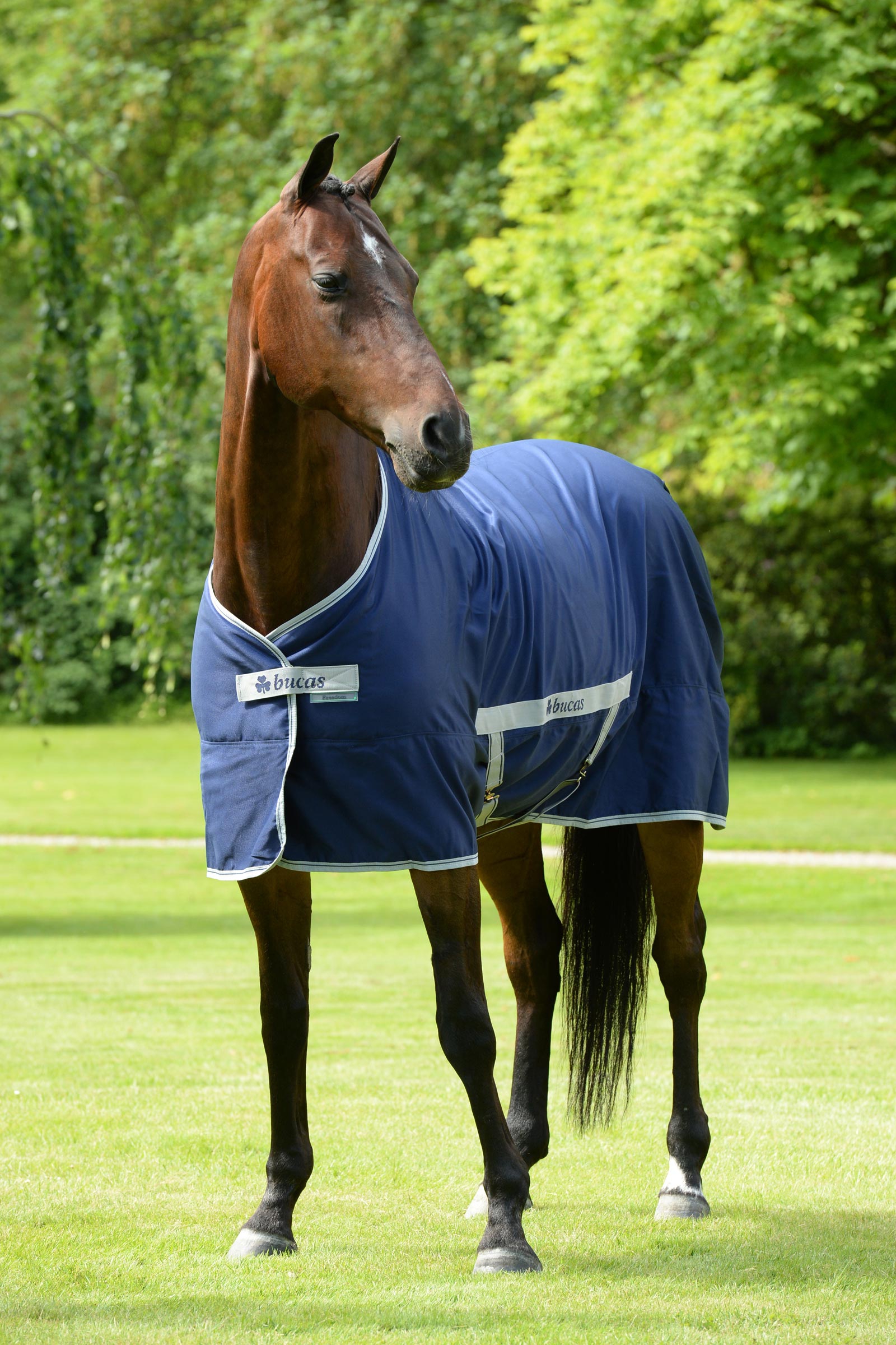 Bucas Freedom Twill Derka stajenna, 0 g