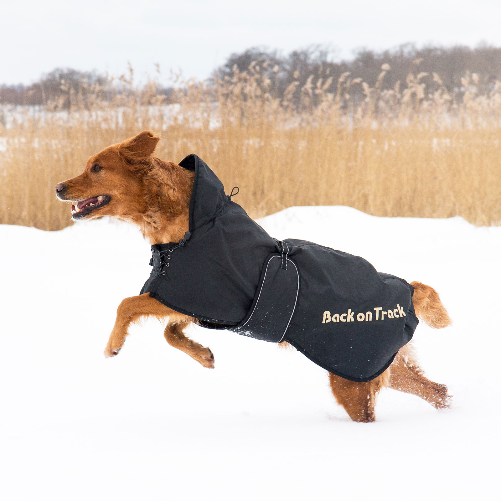 Derka dla psa Back on Track (63-91)