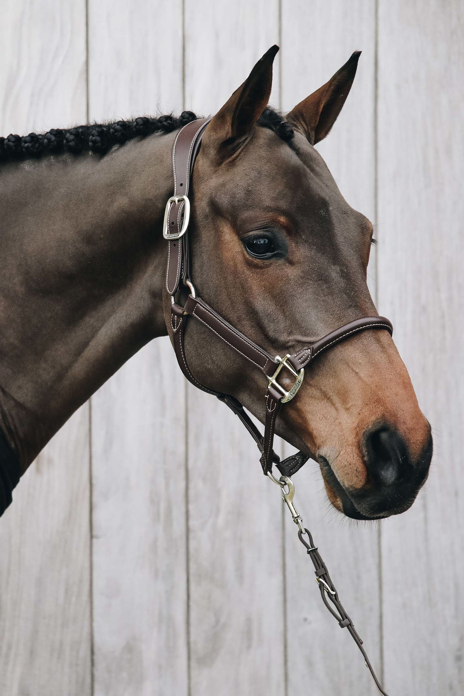 Kentucky Horsewear kantar anatomiczny skórzany