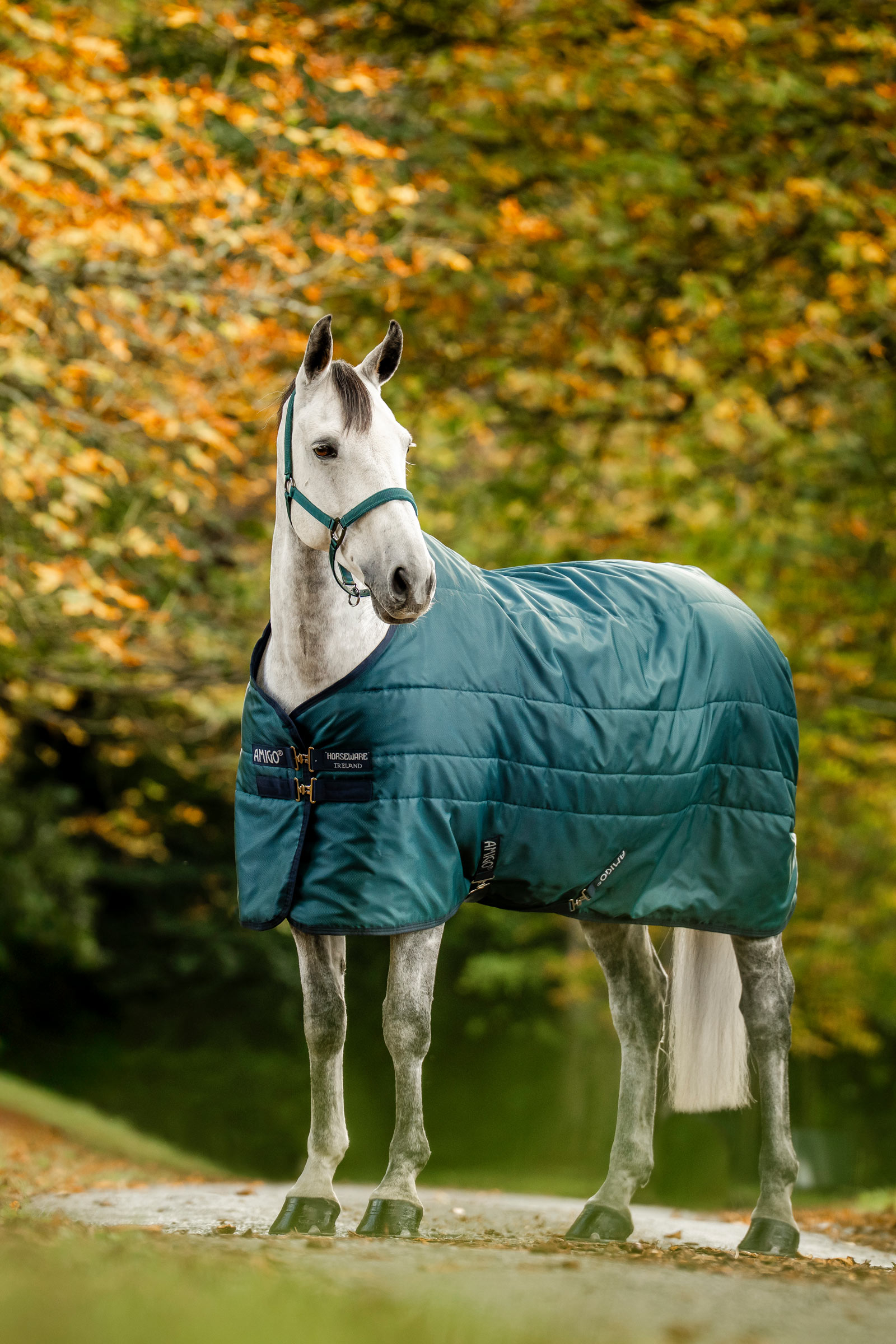 Horseware Amigo Ripstop derka stajenna z wypełnieniem, 350 g