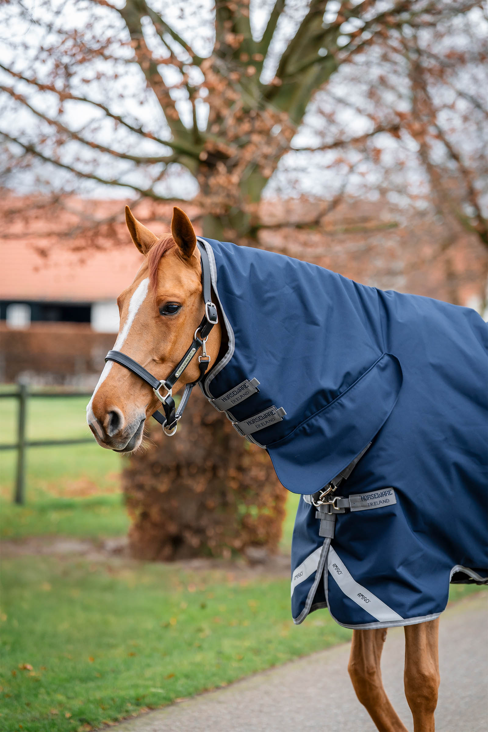 Horseware Amigo 1200D zintegrowana derka padokowa 250 g