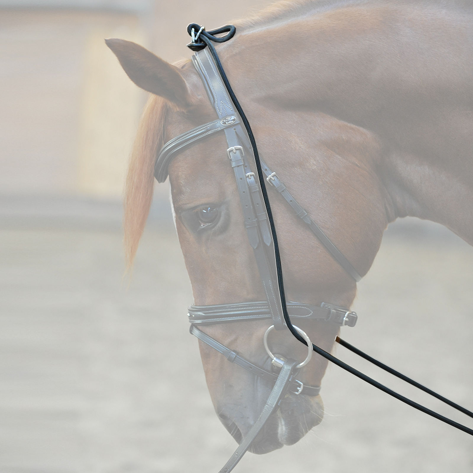 Bungie Kavalkade, elastyczne