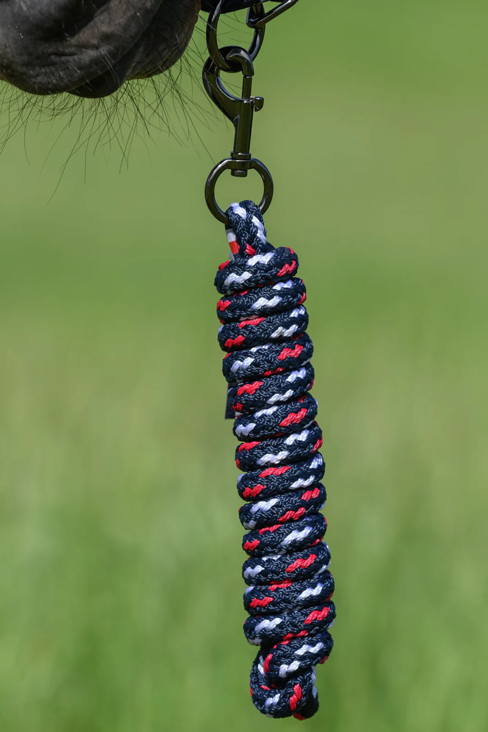 Tommy Hilfiger Equestrian Yale zestaw kantara i uwiązu