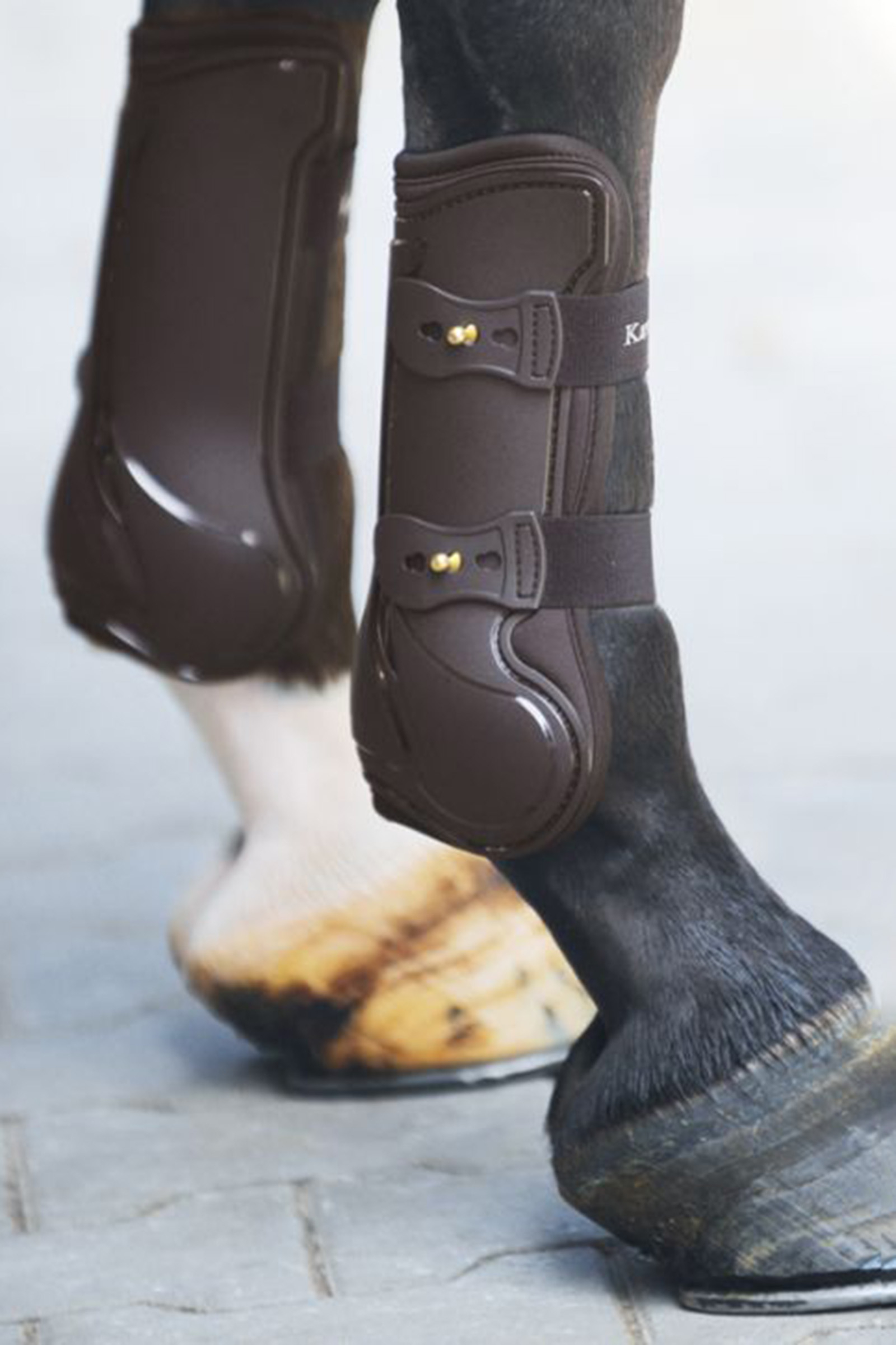 Konkurencja w Kavalkade Tendon Boots