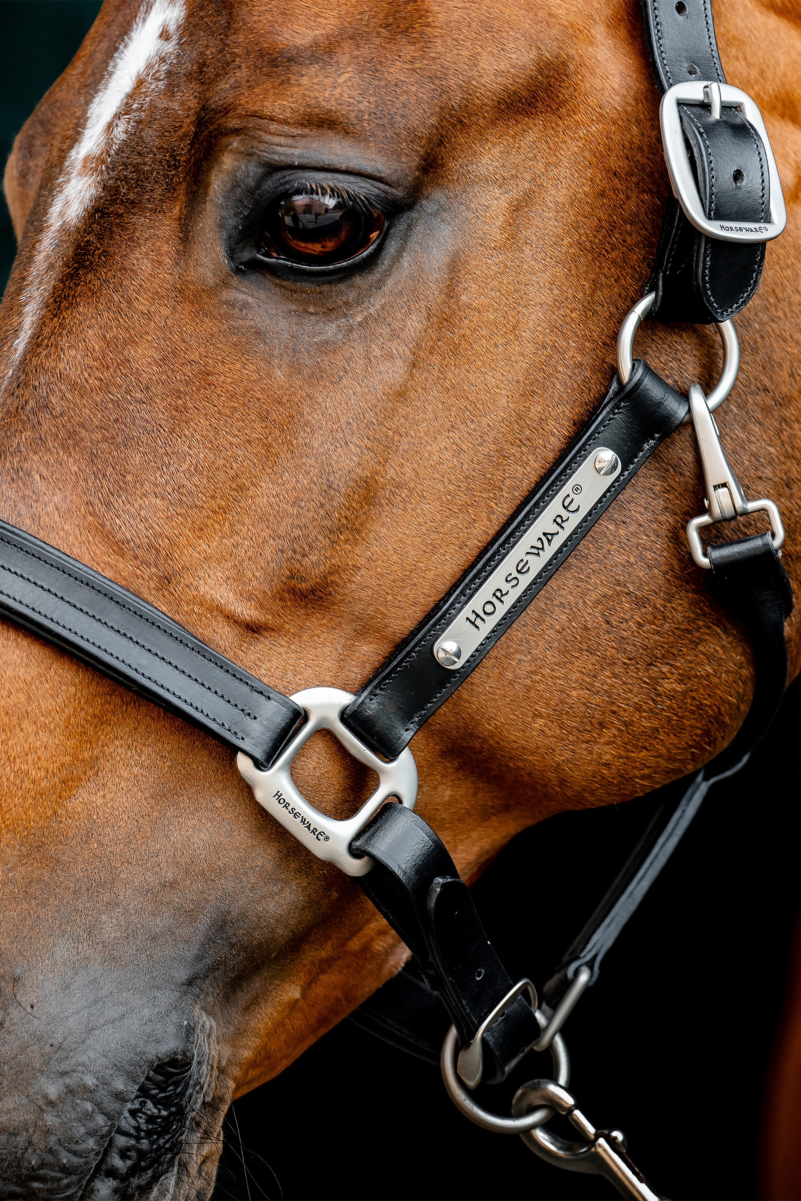 Skórzany halter Horseware Signature