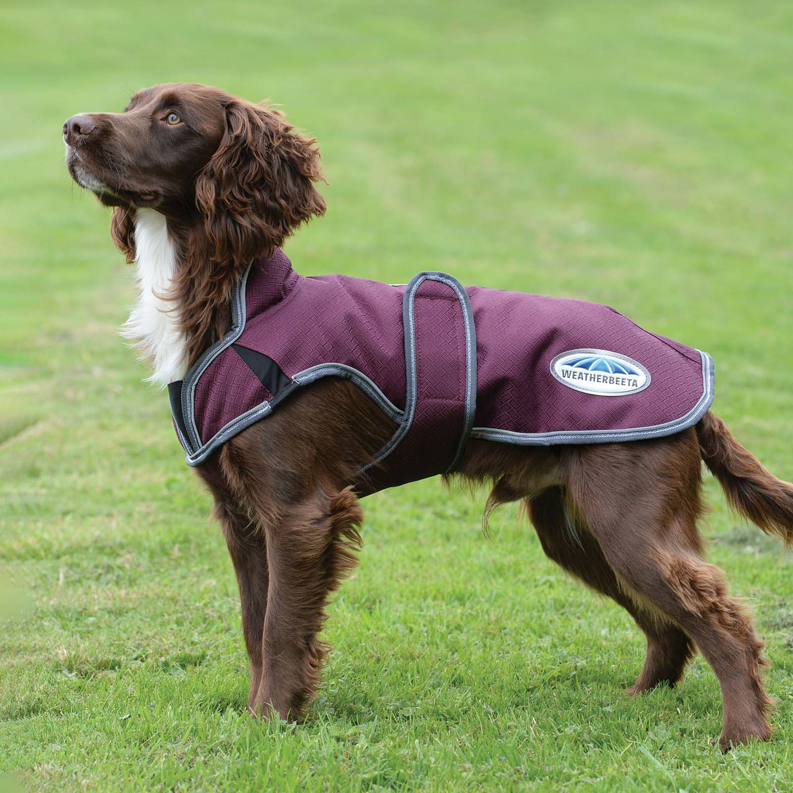 Weatherbeeta Comfitec Premier Free Parka Deluxe Ubranko dla psa, 220g