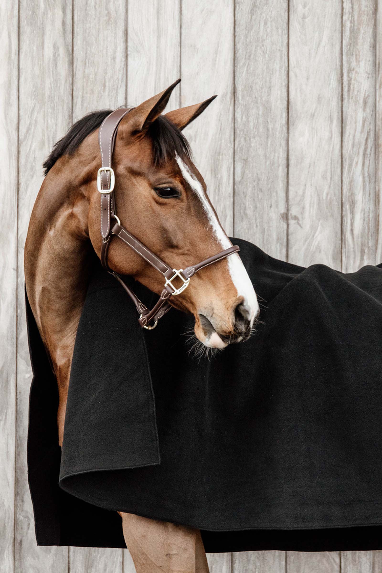 Gruba derka polarowa Kentucky Horsewear