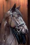 Catago Shay Round Stitched Bridle With Flash