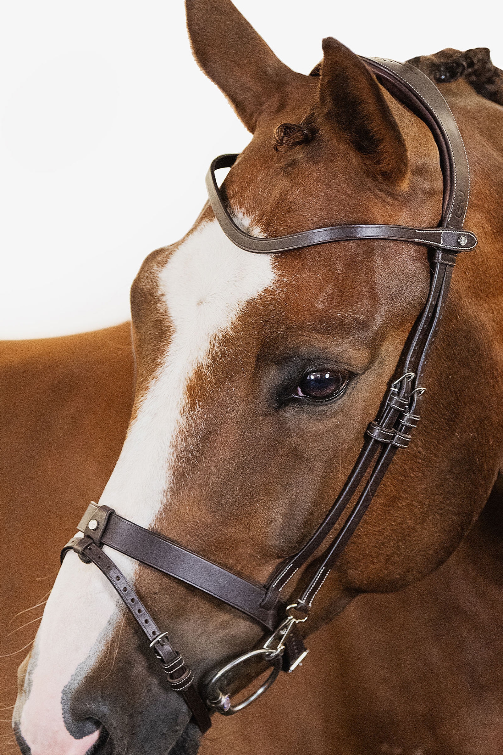 PS of Sweden London Bridle
