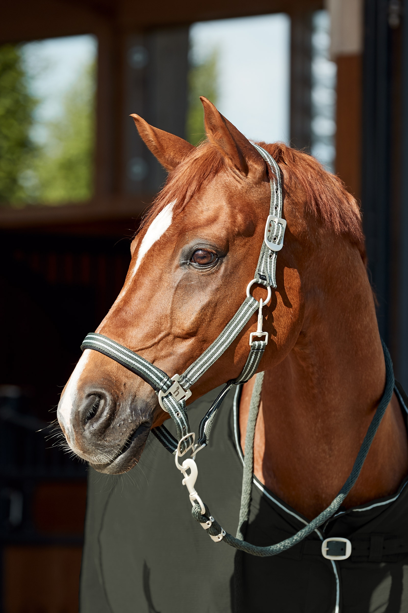 Horze Bari Kantar i uwiąz