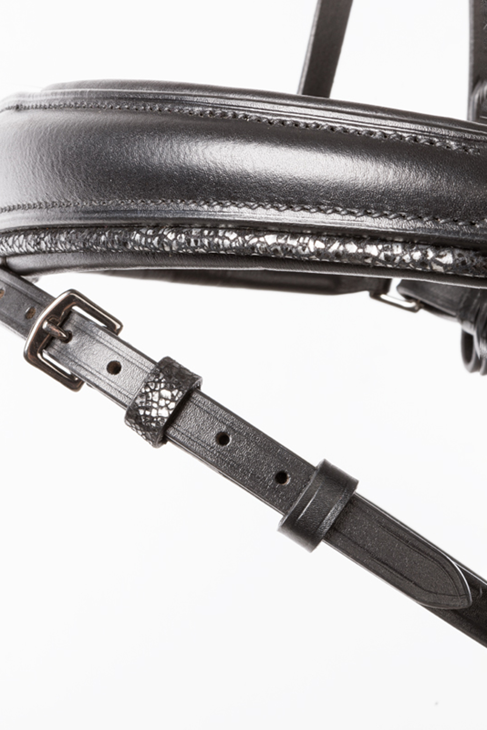 Kavalkade Victoria Ogłowie