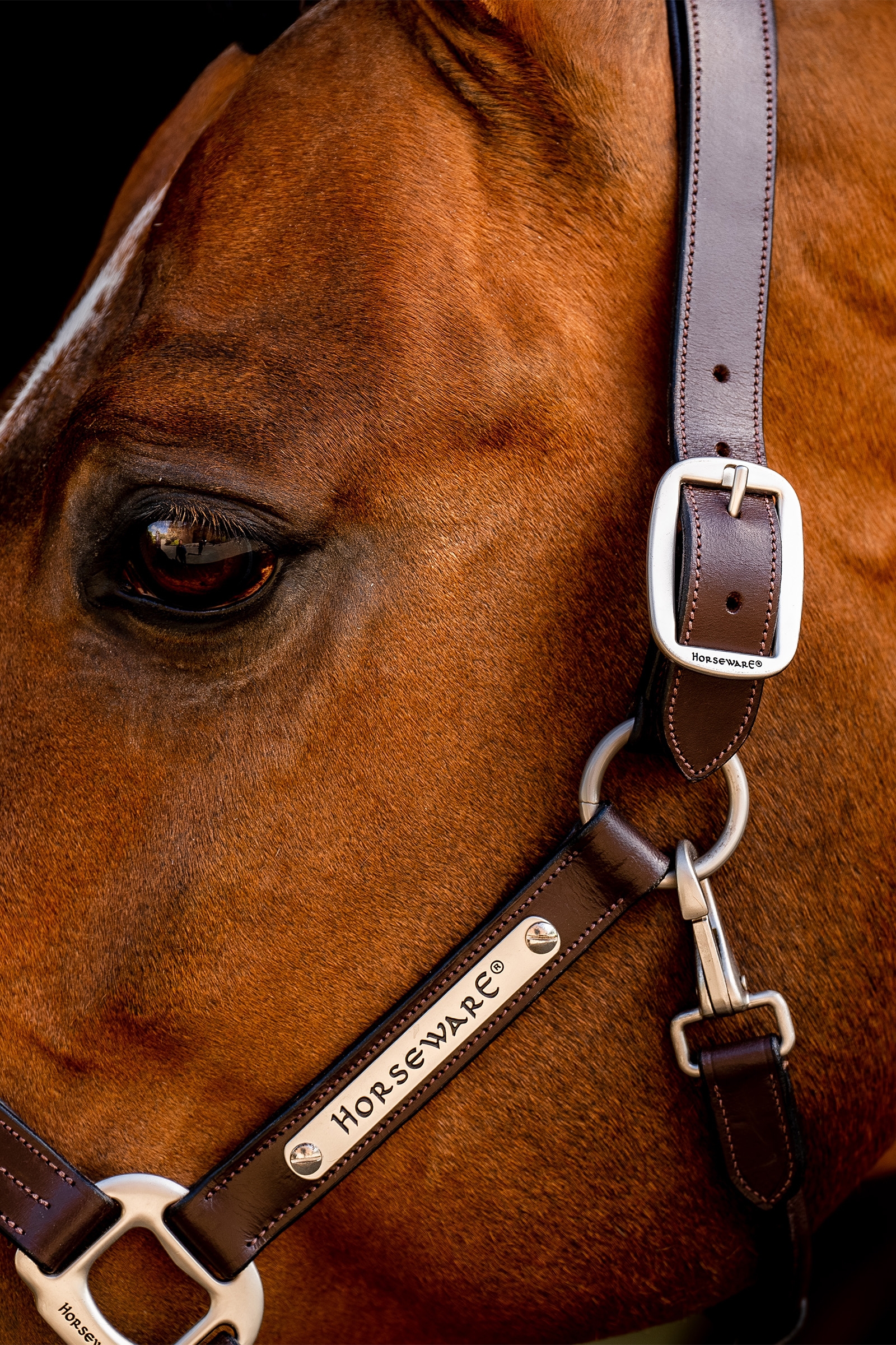 Sk&oacute;rzany halter Horseware Signature
