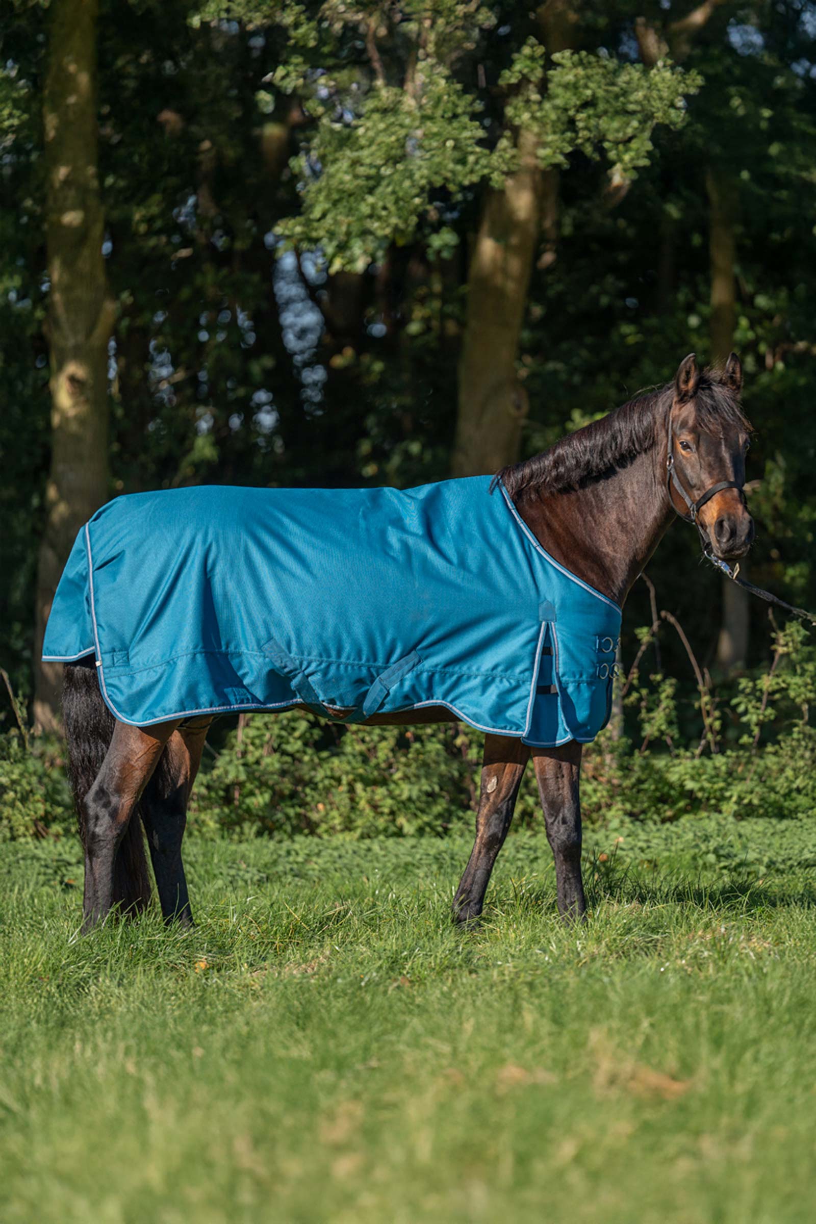 Kavalkade Alaska IV Turnout Rug, 300 g