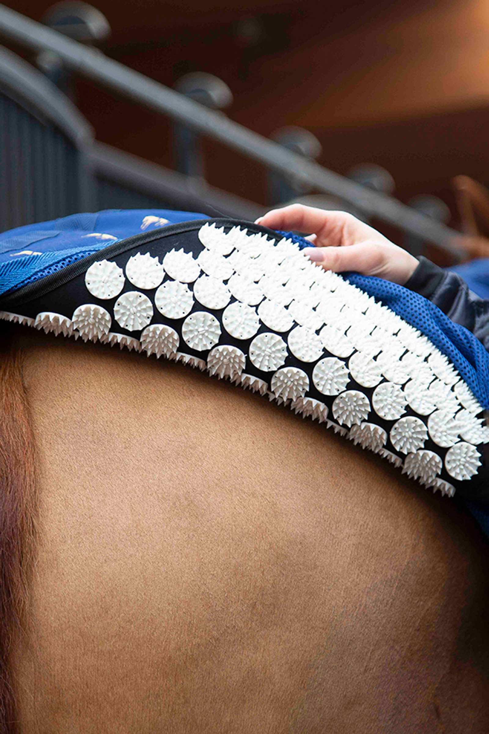 Accuhorsemat Derka osuszająca