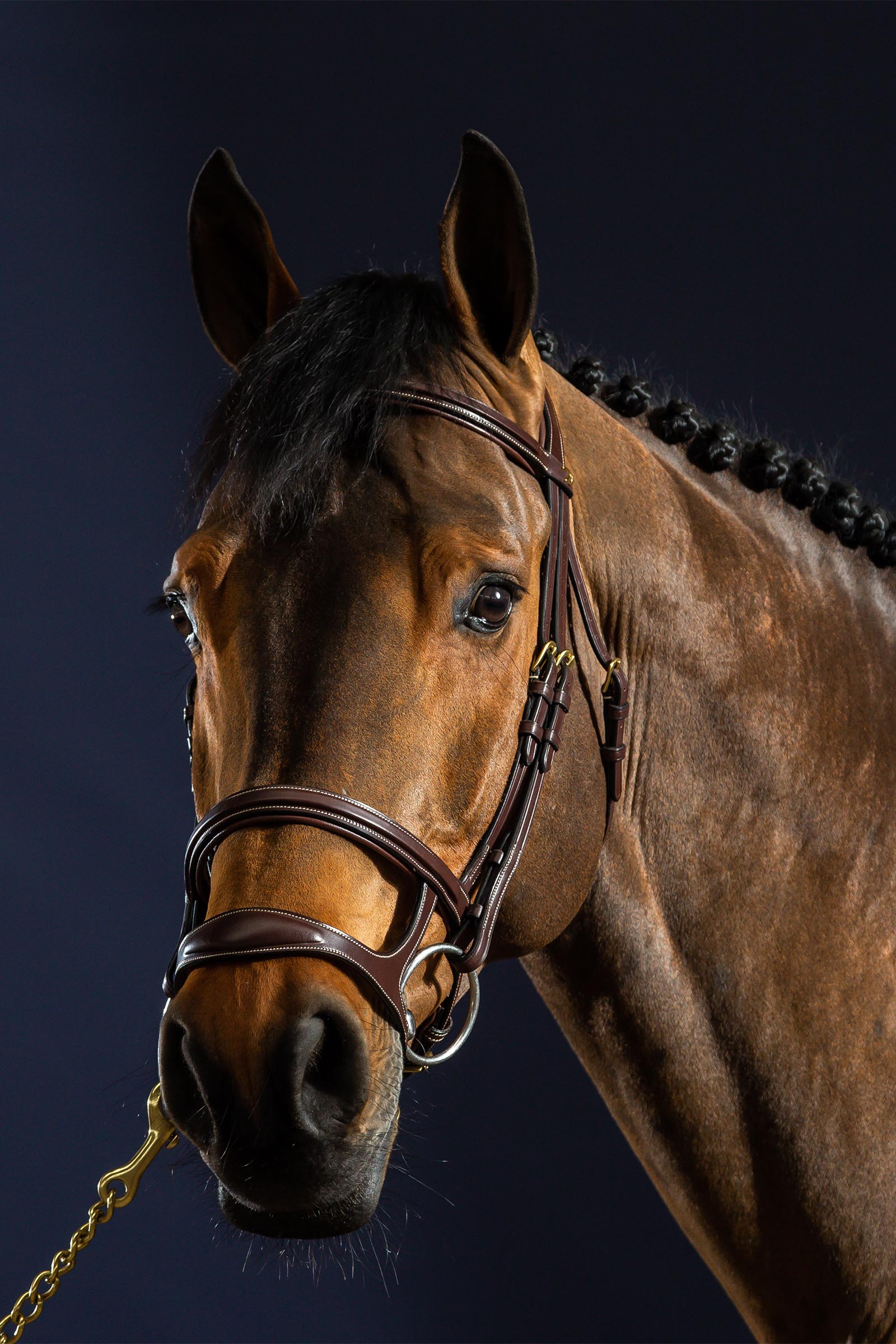 Dy'on D Collection ogłowie z podwójnym nachrapnikiem