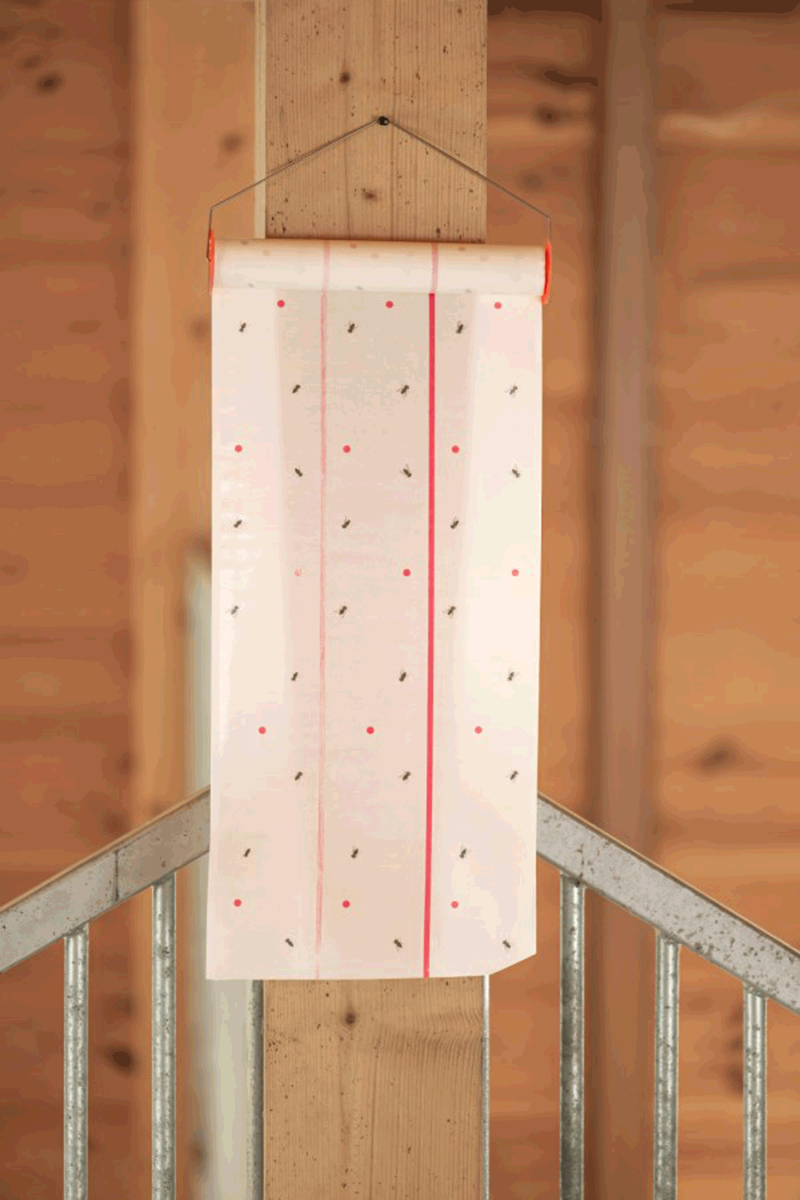 Pułapka na muchy Kerbl Cit MuscaRoll, 10 m