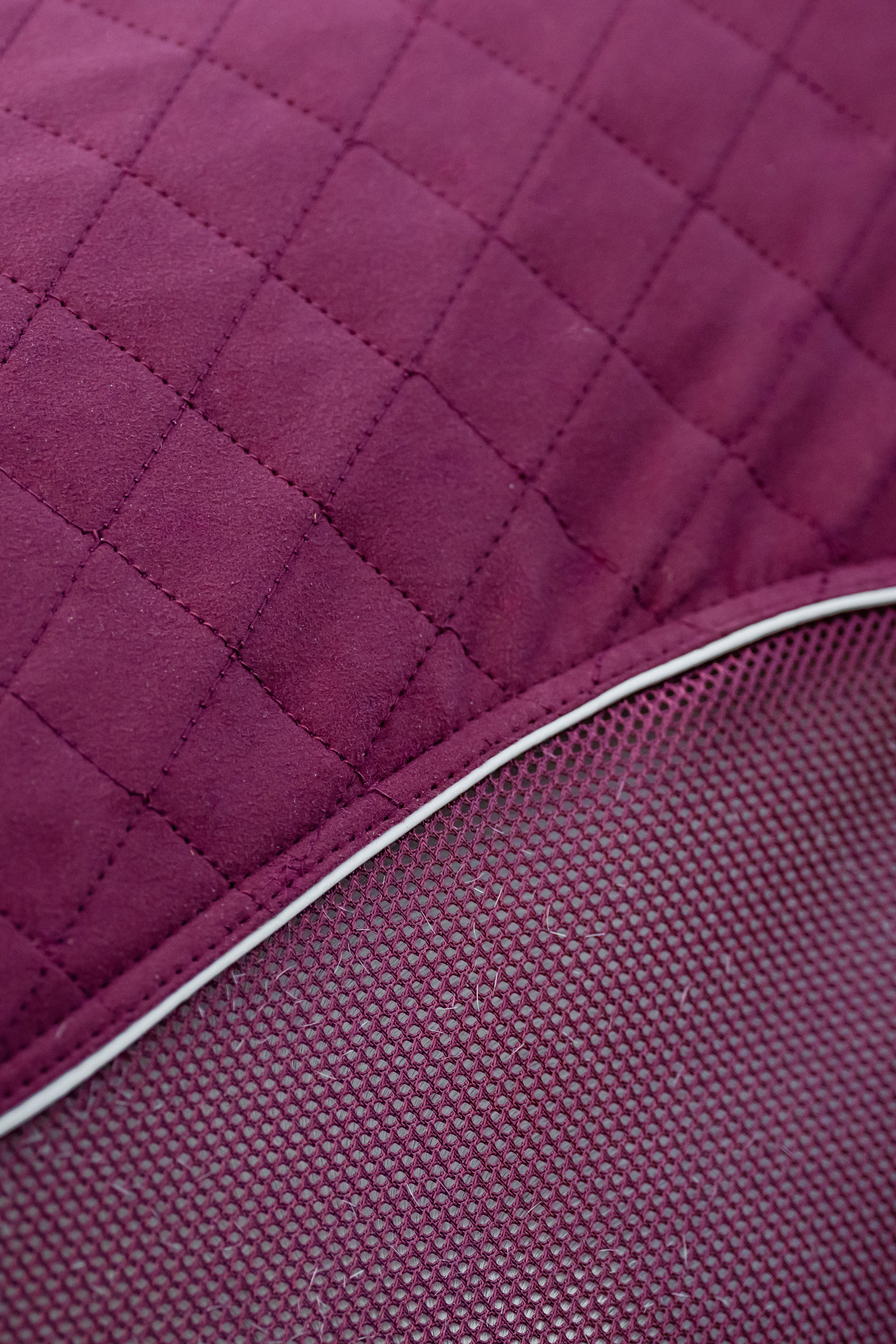 Horseware Signature derka transportowa osuszająca