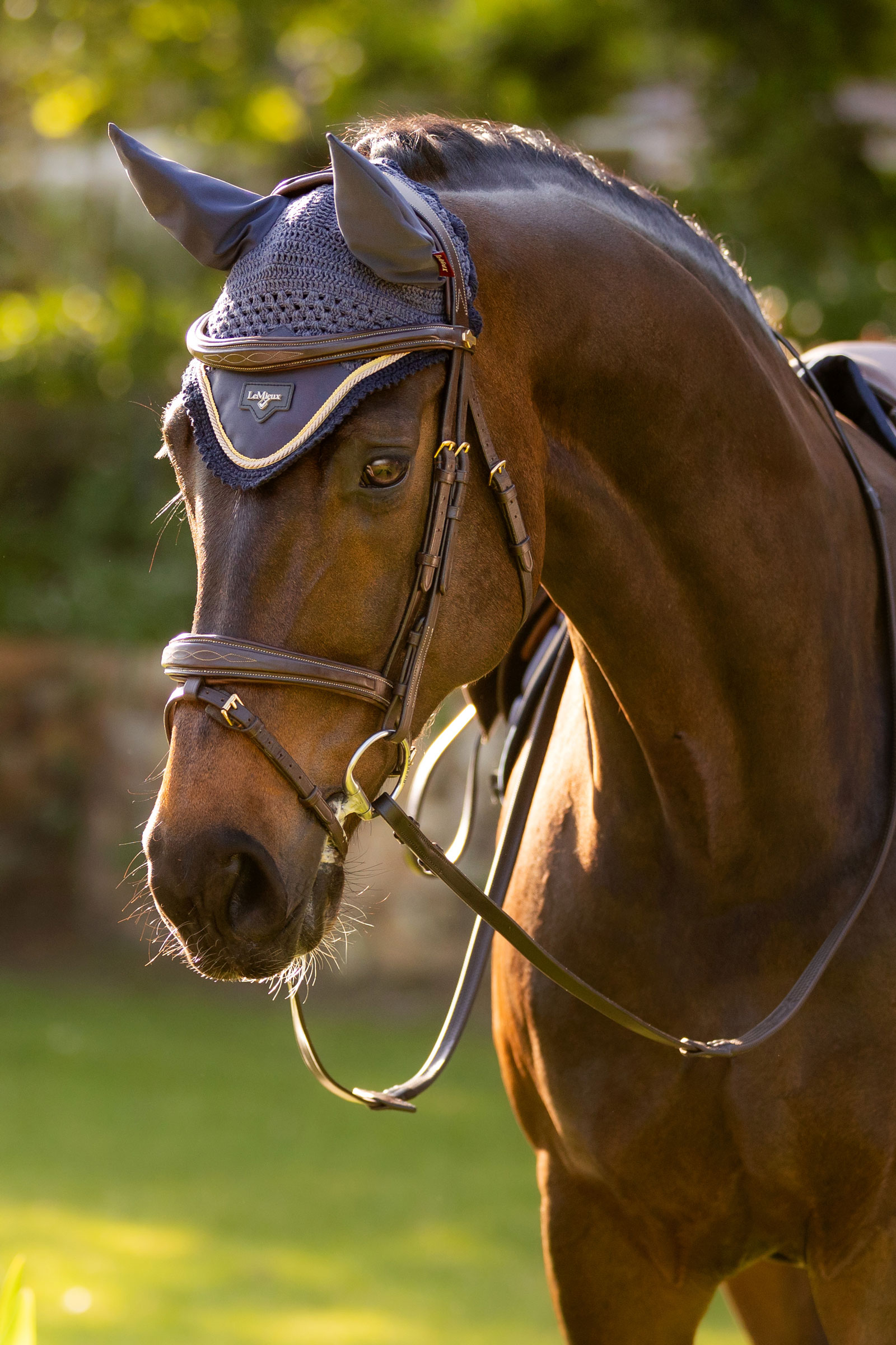 LeMieux Loire Satynowe Nauszniki dla konia