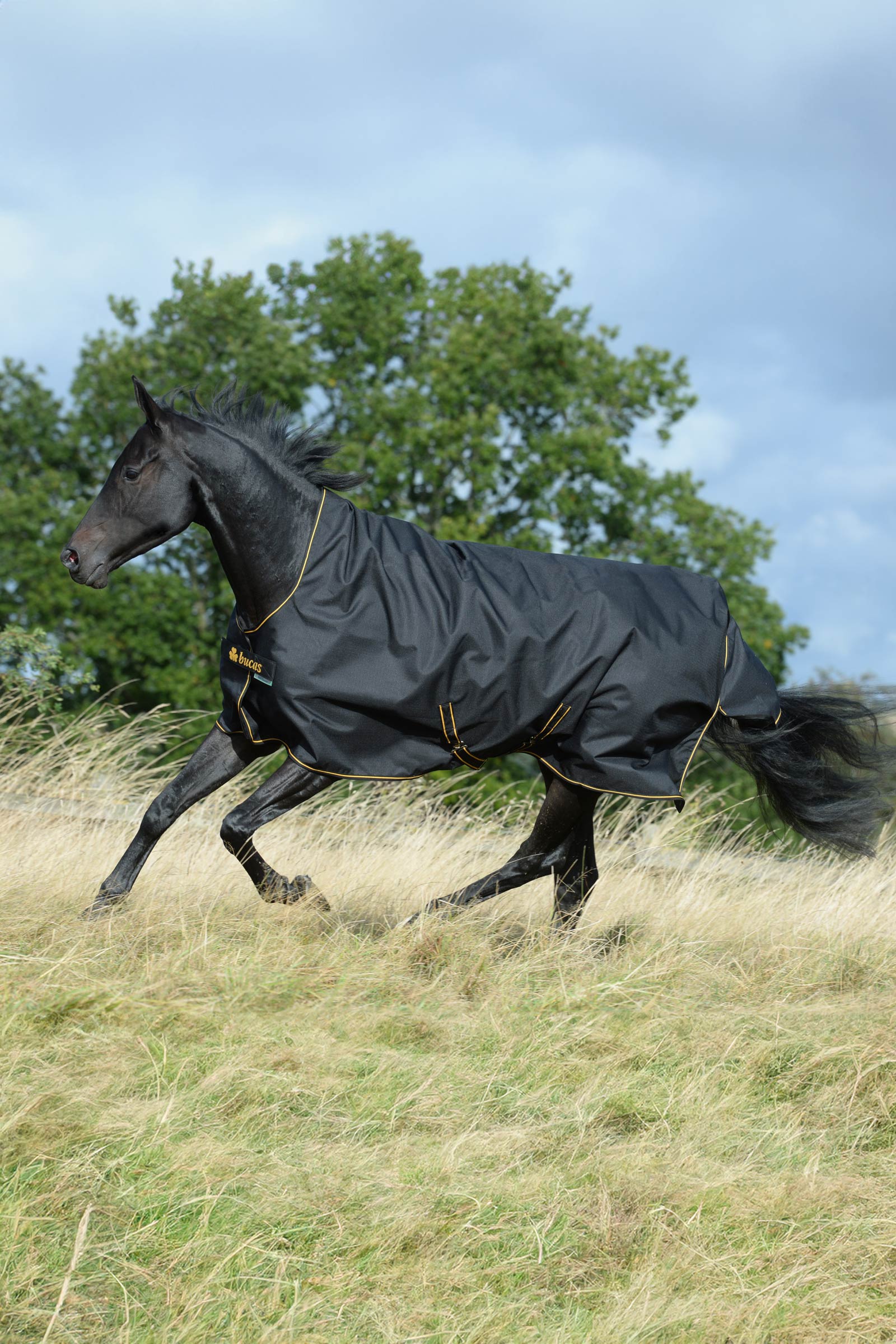 Bucas Irish derka padokowa z wysokim szyjnikiem, 50g