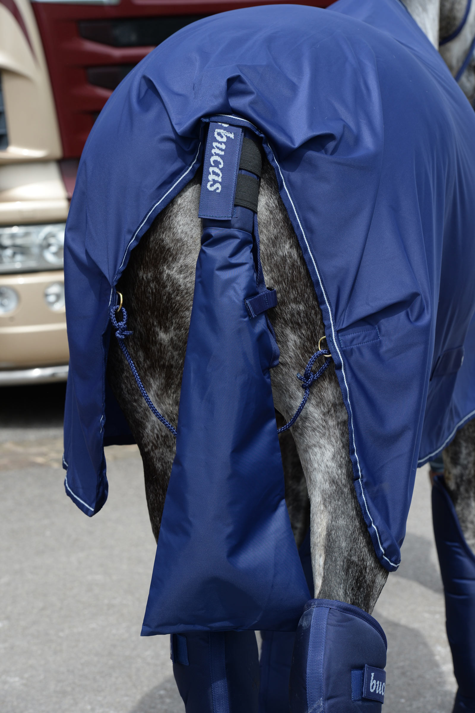 Bucas Ochraniacz na Ogon & Torba na Ogon