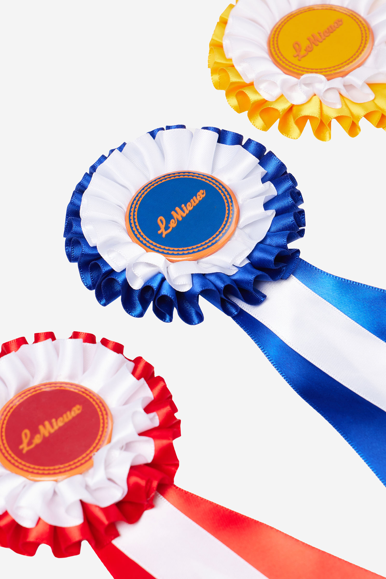 LeMieux Hobby Horse zestaw rozet