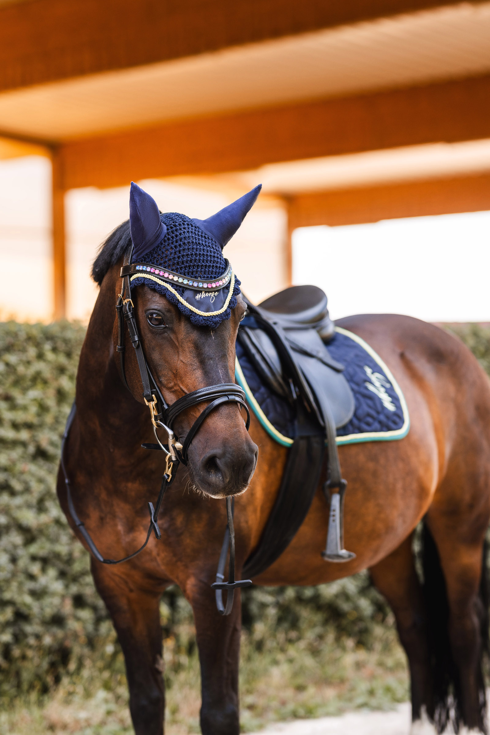 Horze Magic Carousel Część 2 Nauszniki dla kuca