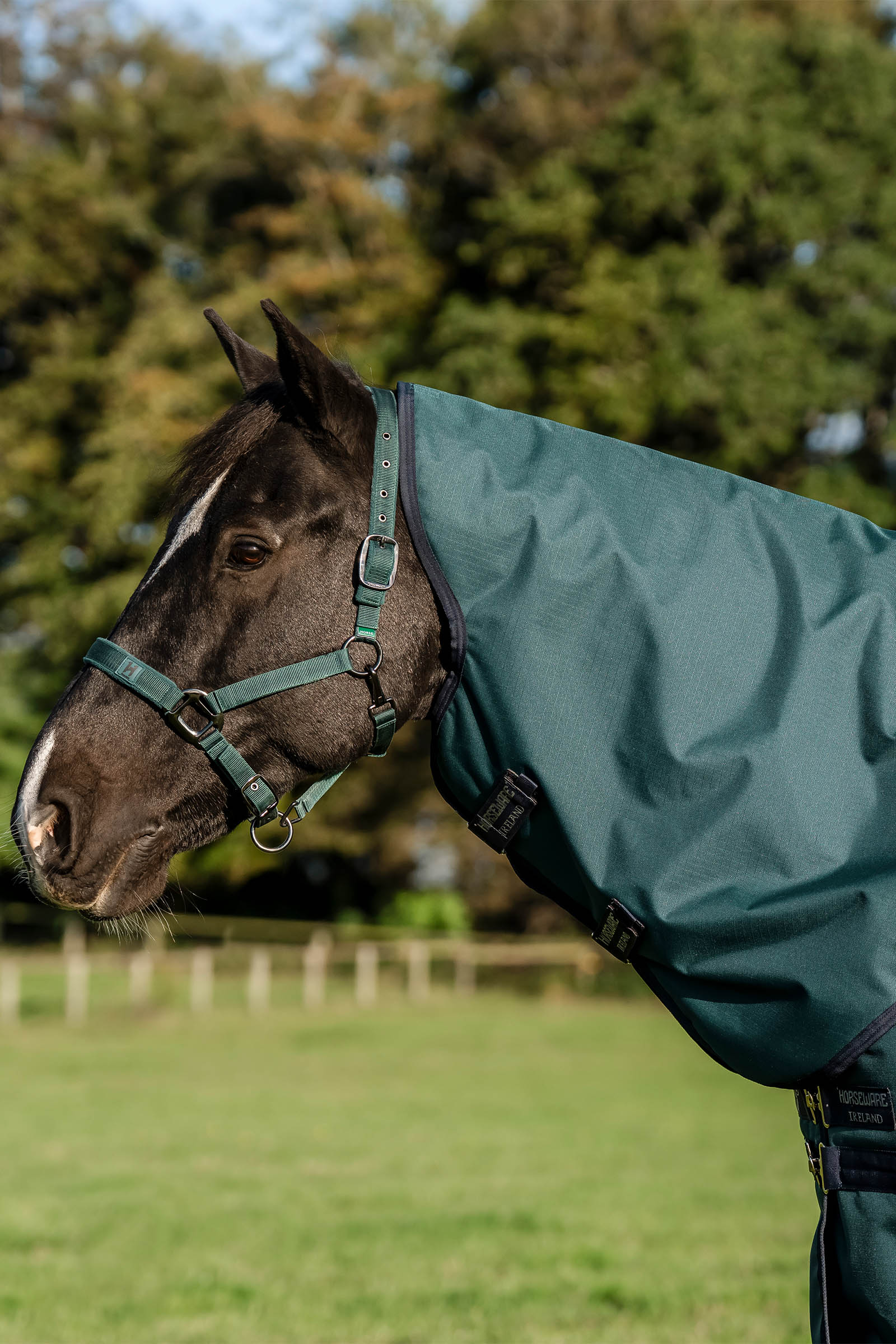 Horseware Amigo Ripstop 900D Plus Turnout Rug With Detachable Neck, 0 g