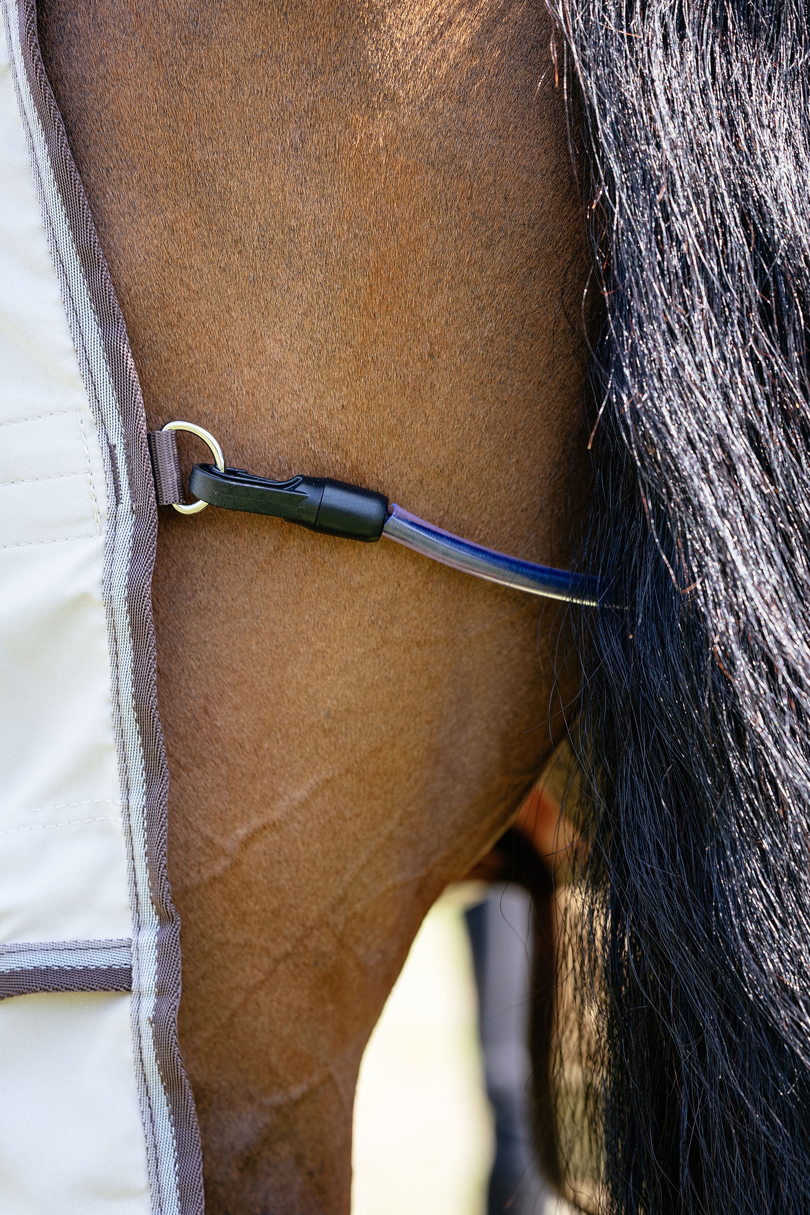 LeMieux Kudos Shower Pro derka egzemowa z odpinanym kapturkiem