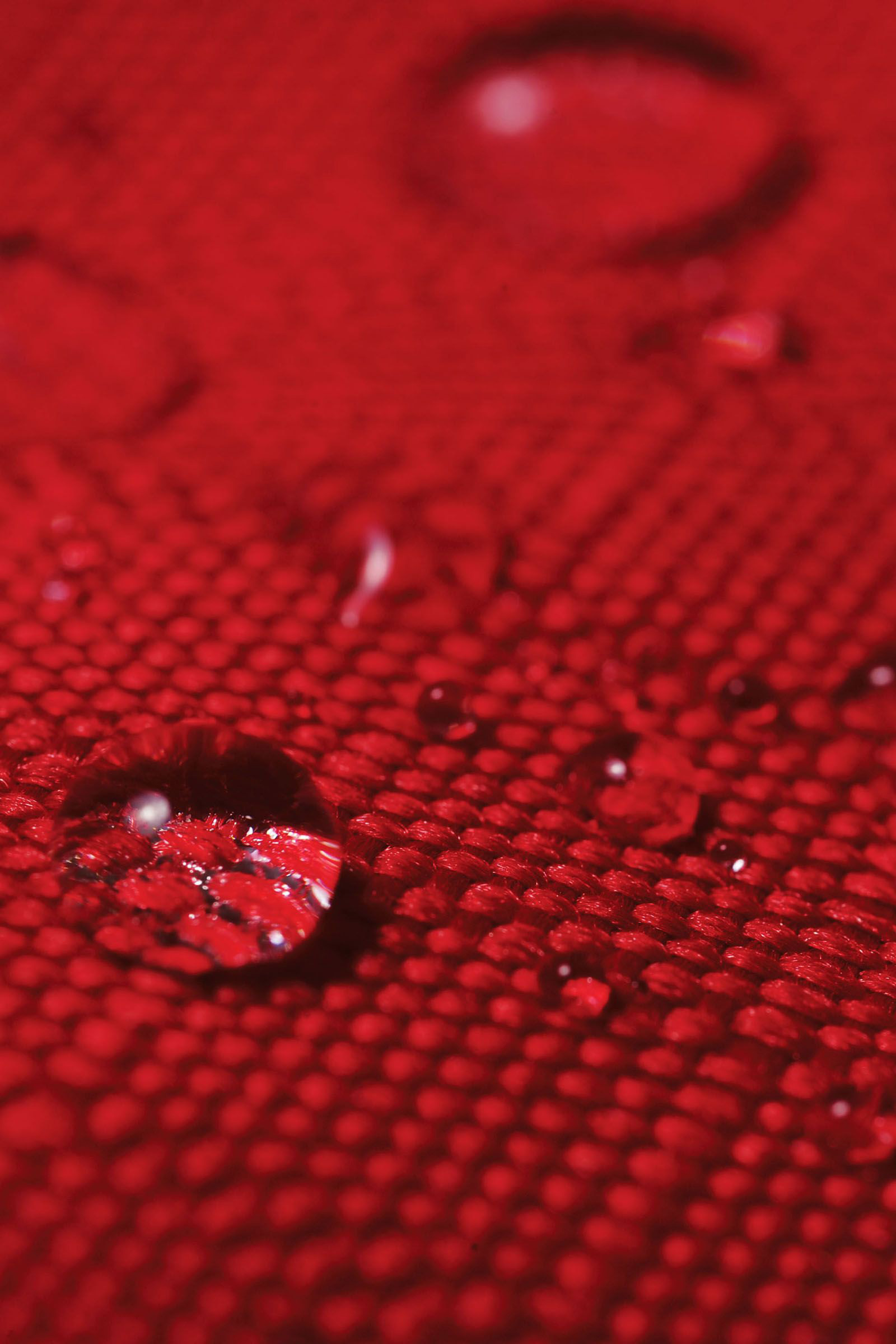 Weatherbeeta Comfitec Classic Derki dla konia z wbudowanym kołnierzem, 50g