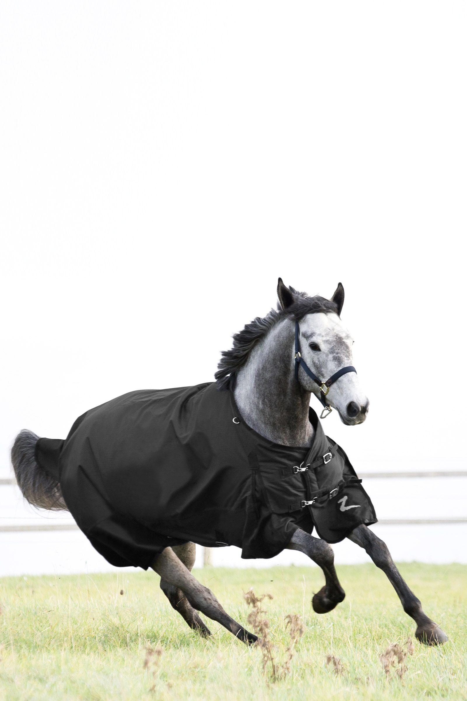 Derka padokowa Horze Nevada, 200g