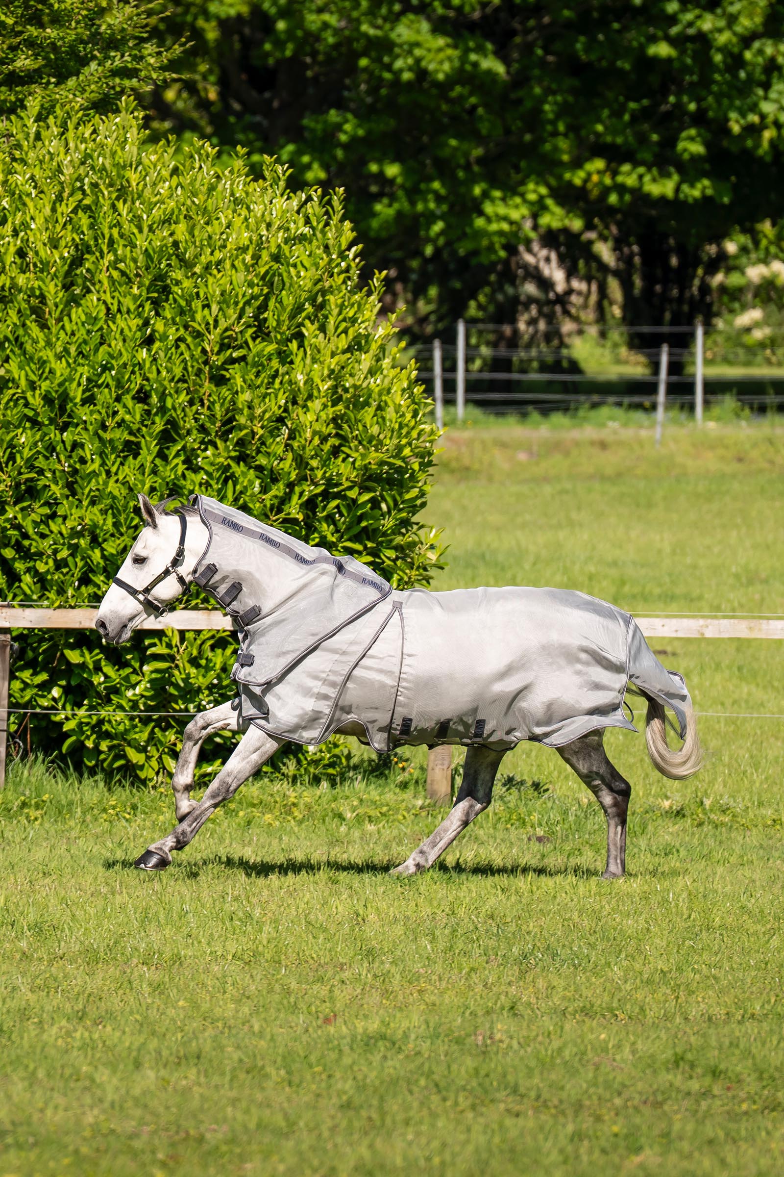 Horseware Rambo Optimo Protector Plus derka