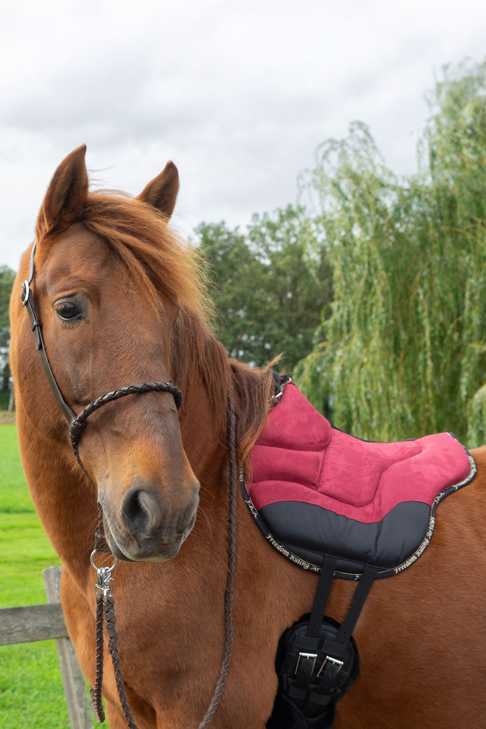 F.R.A. Freedom Riding Articles Podkładka jeździecka Dardo basic  