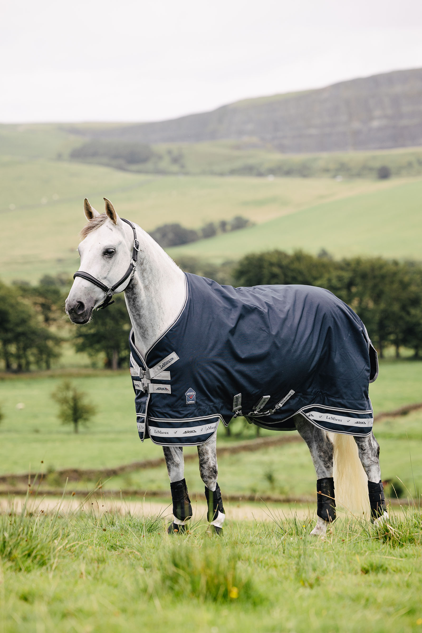 LeMieux Arika Storm-Tek derka 50g
