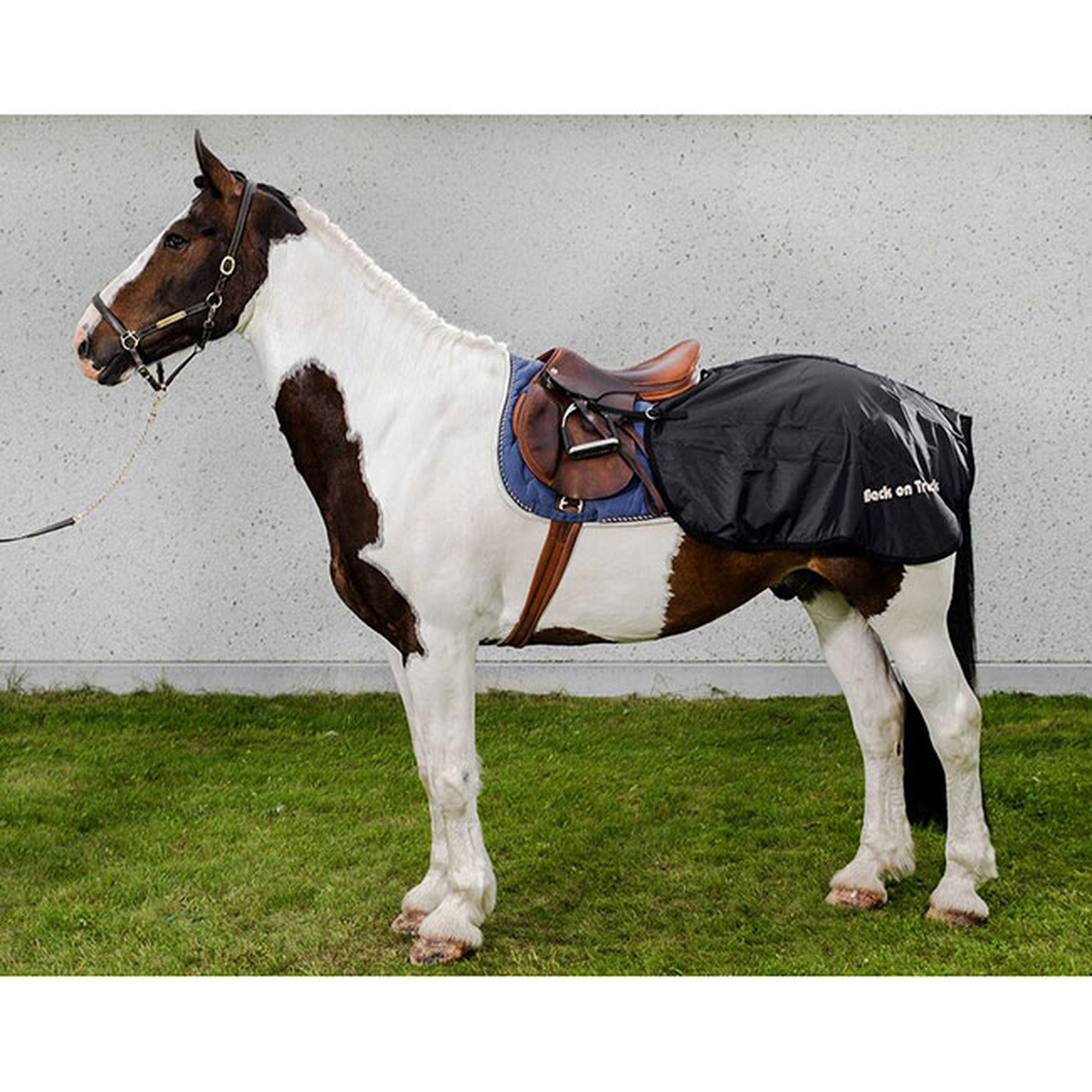 Derka na lędźwie Back on Track