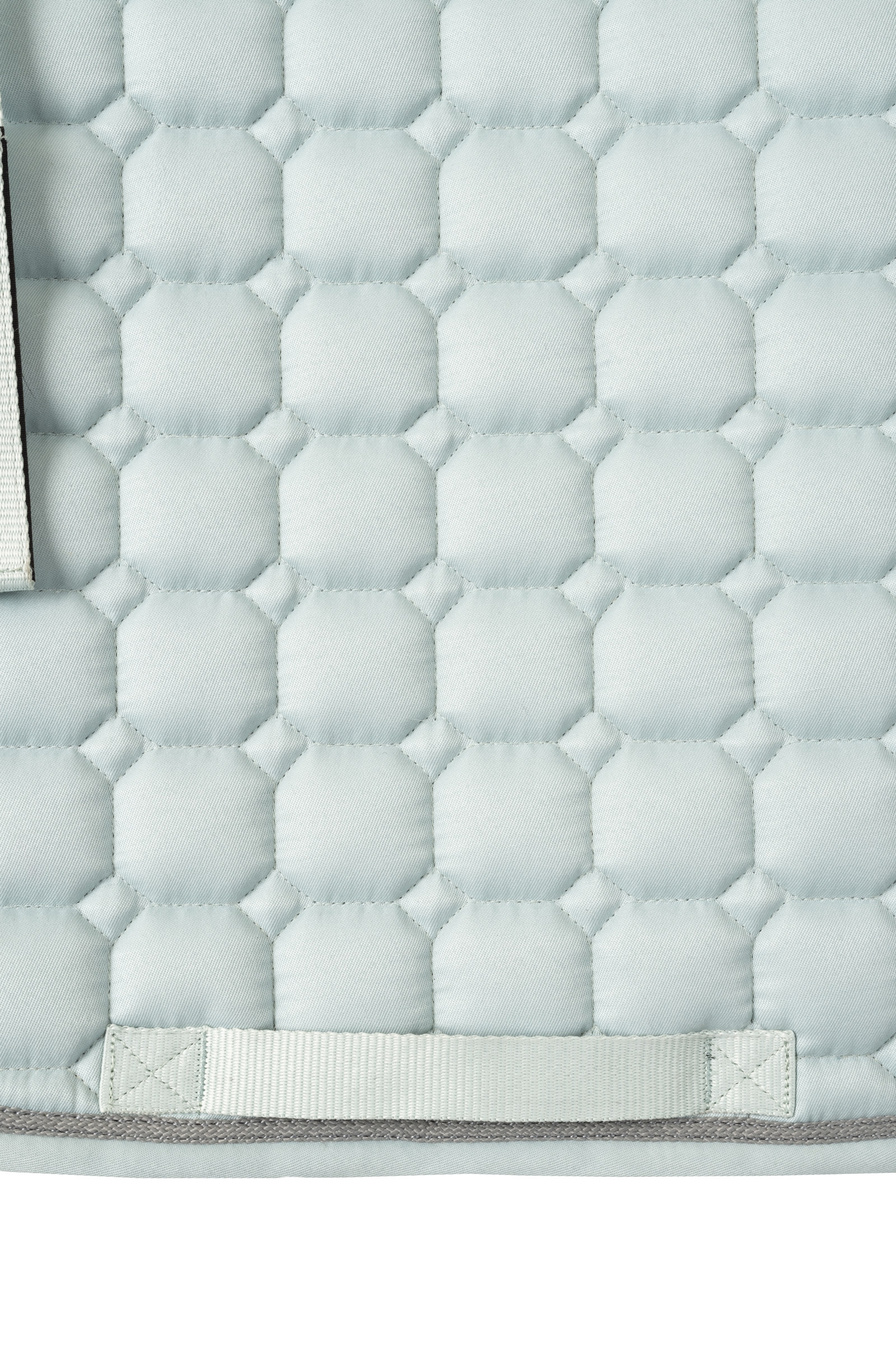 Czaprak skokowy Horze Rose Tonique