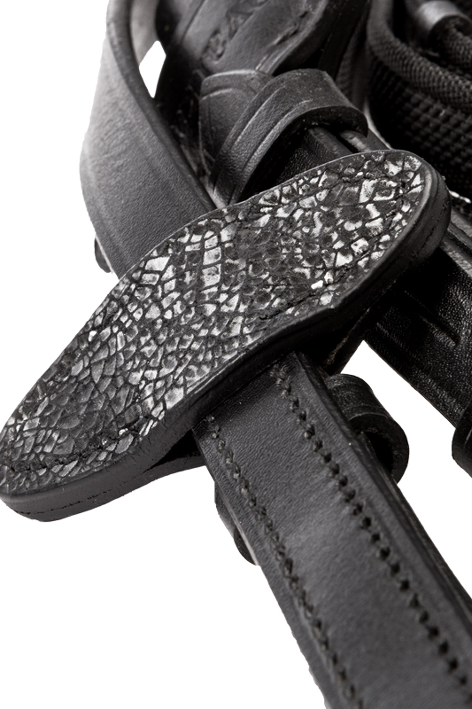 Kavalkade Victoria Ogłowie