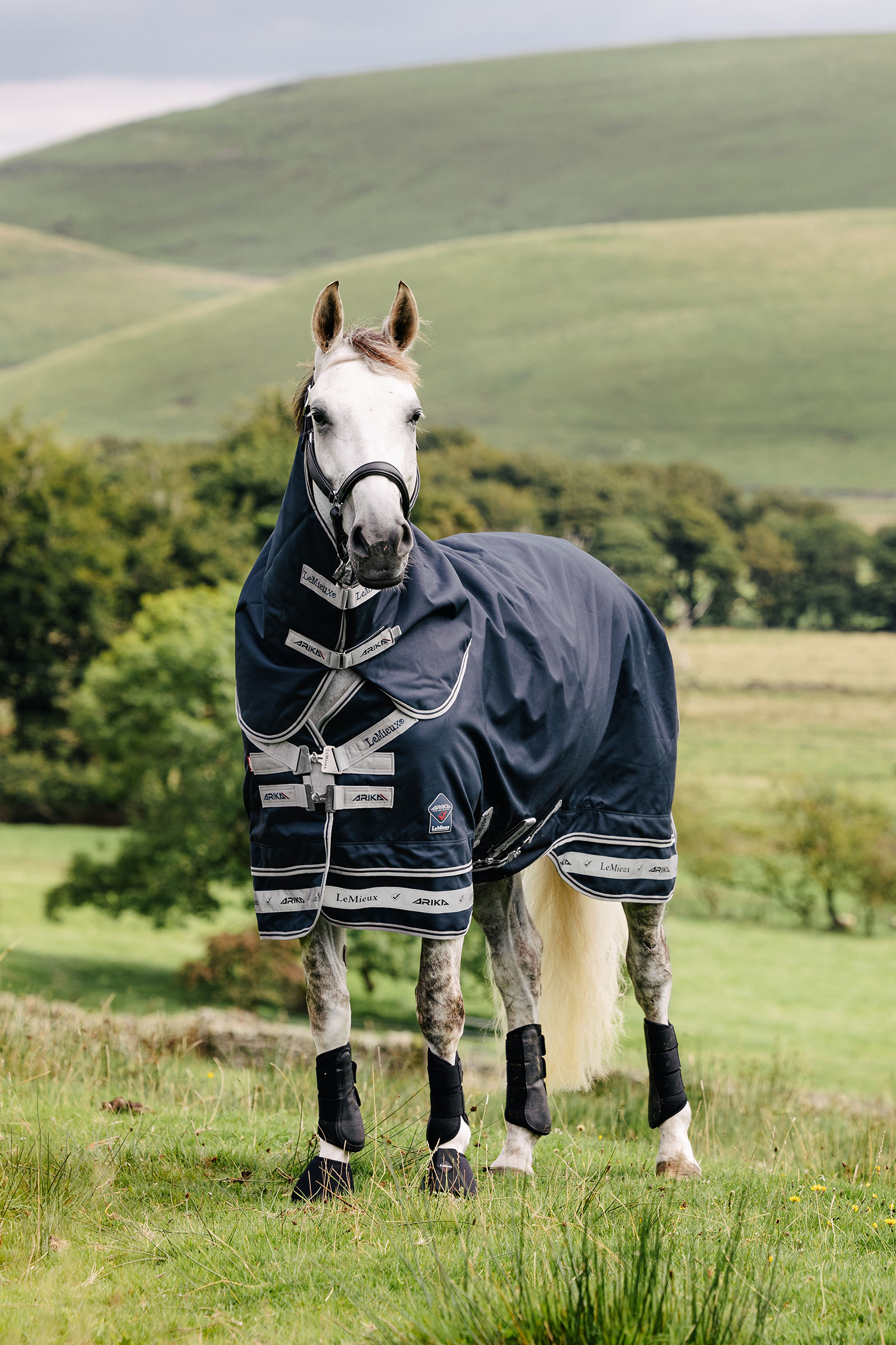 LeMieux Arika Storm-Tek derka 50g