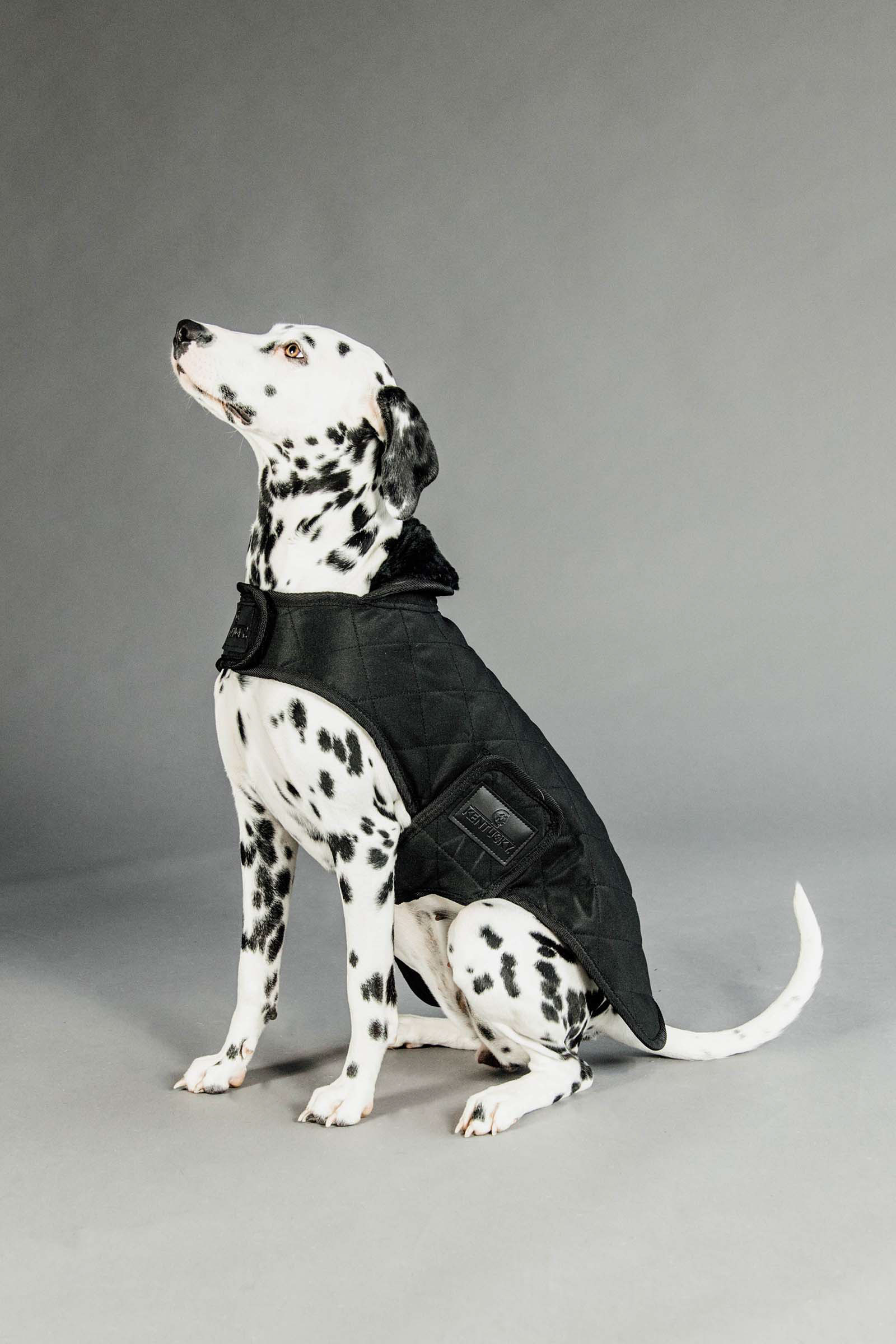 Black/Black Derka dla psa Kentucky Dogwear