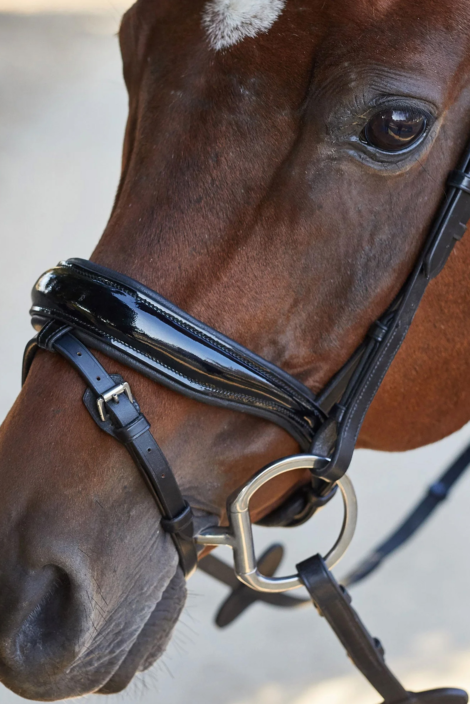 Kavalkade Charlotte Dressage Bridle Crank Noseband