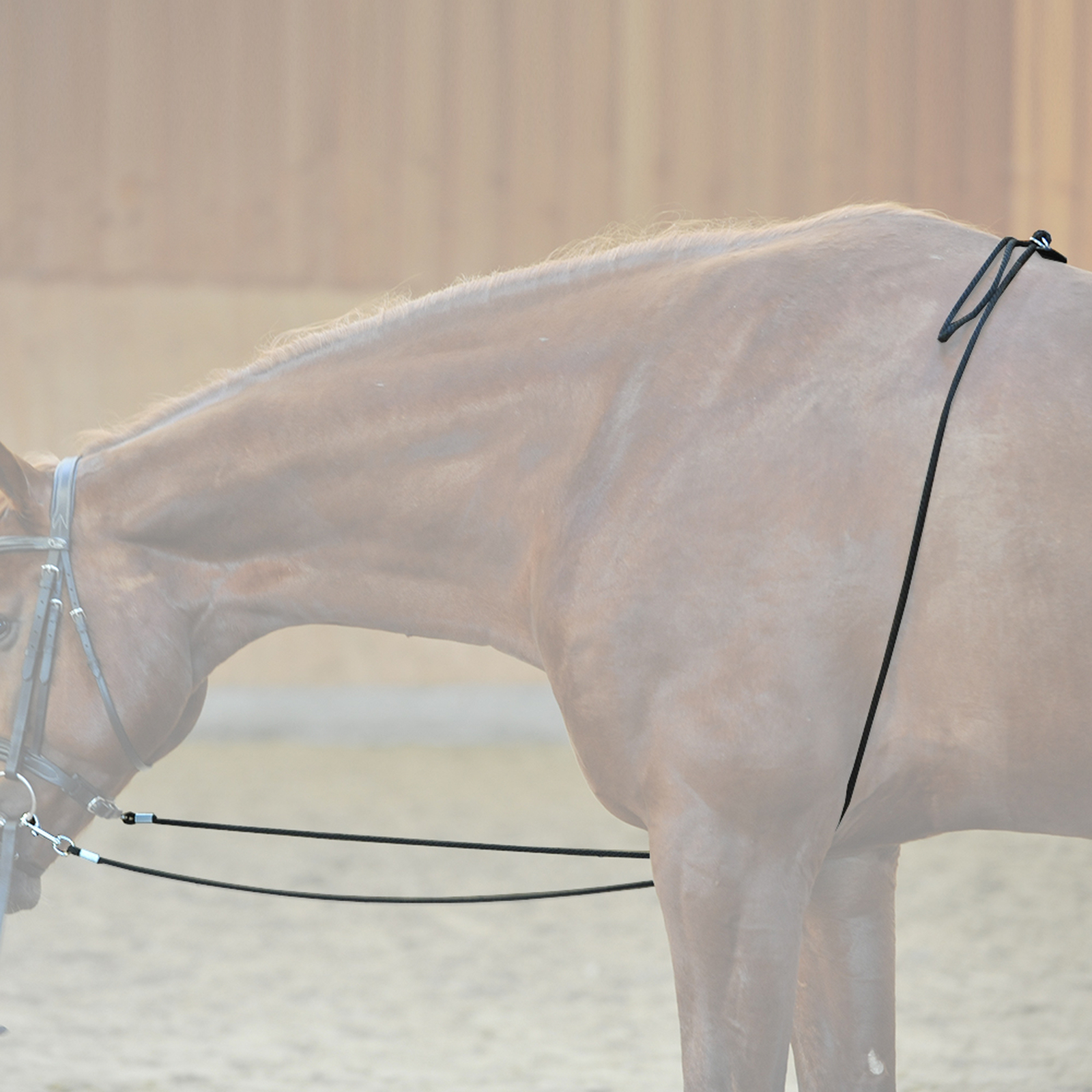 Pomoc do lonżowania Kavalkade HO