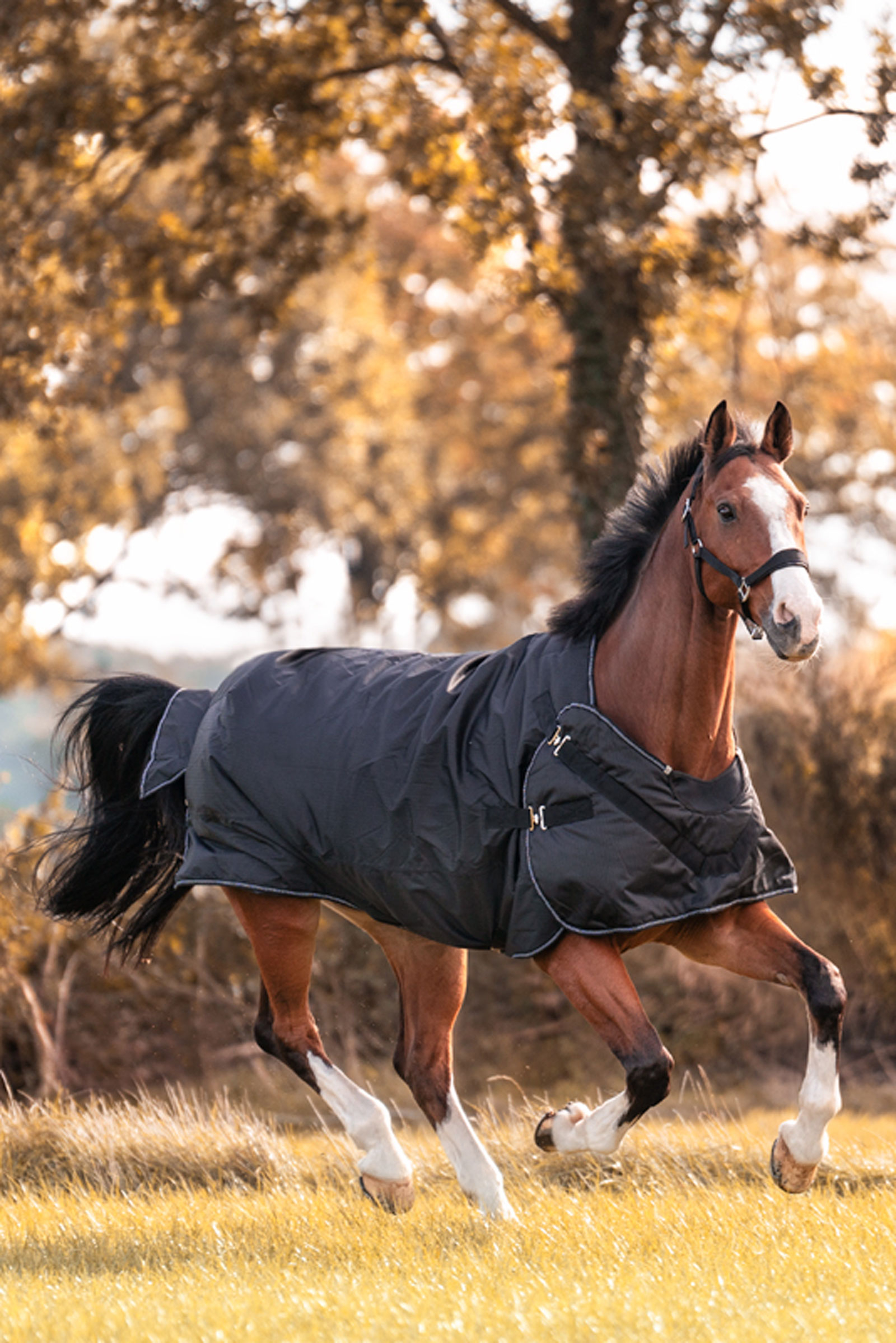 Kavalkade Halifax 2w1 Derka Padokowa i derka na karuzelę 50g