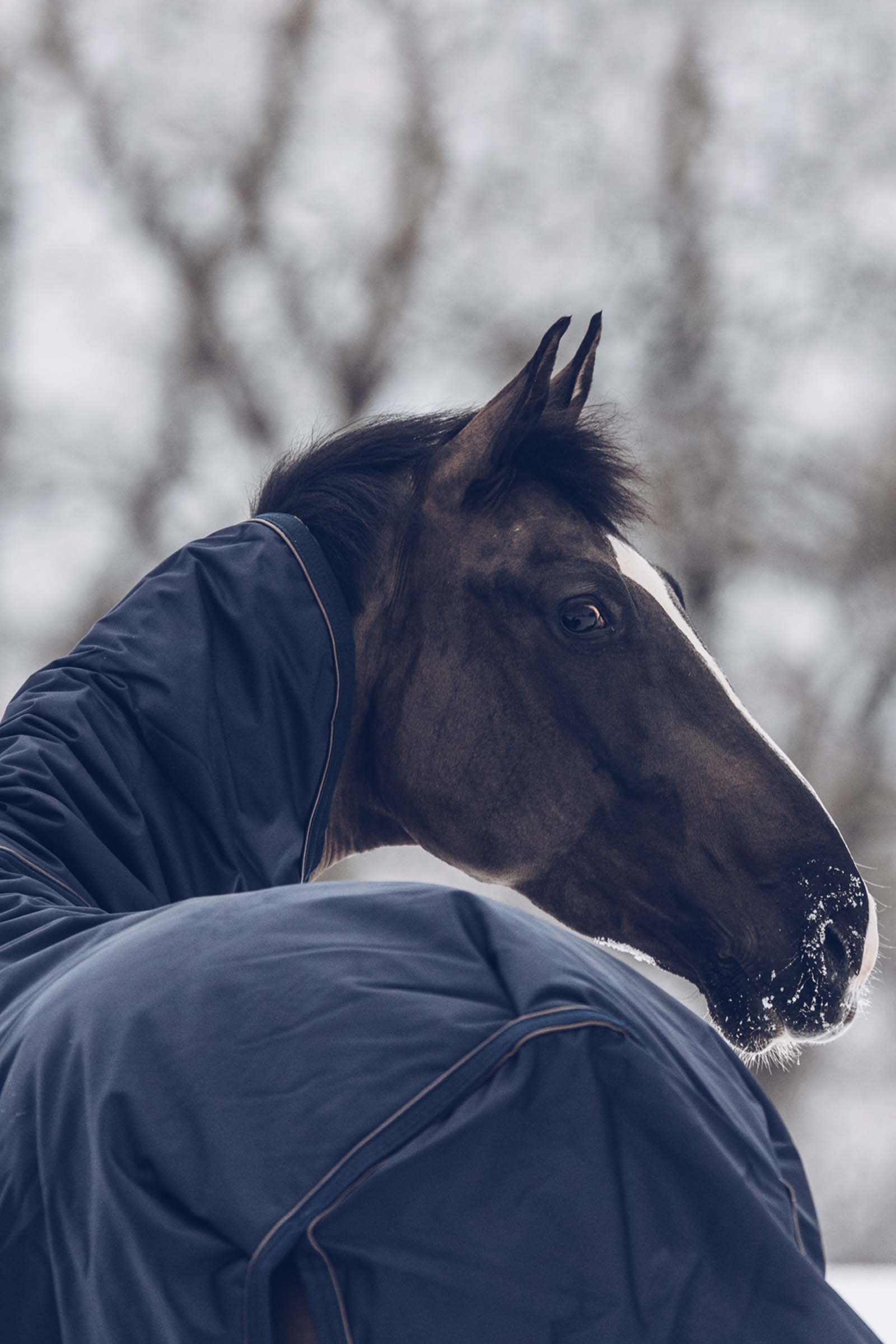 Przeciwdeszczowa derka padokowa Kentucky Horsewear All Weather Classic, 300g