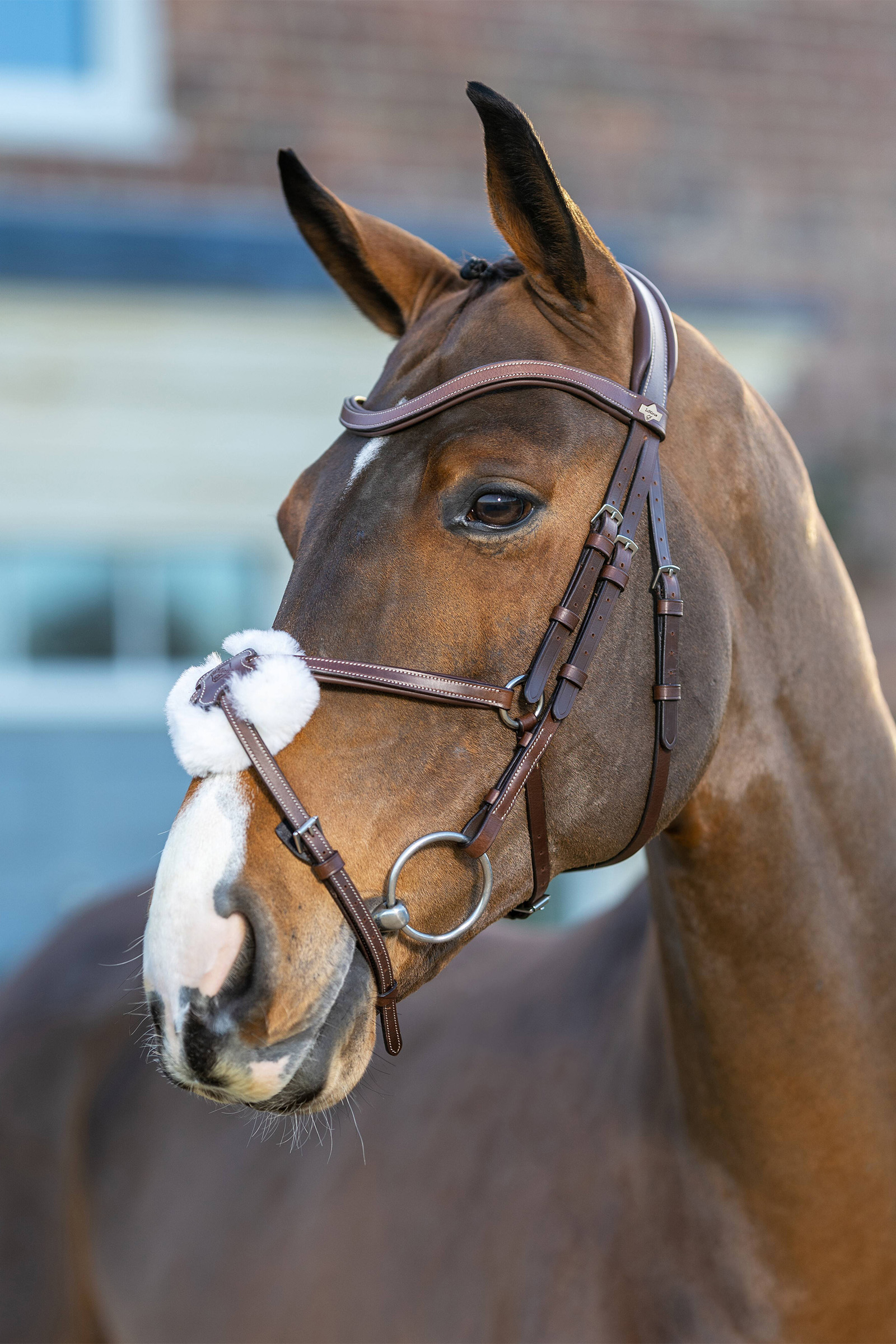 LeMieux Arika Ogłowie z nachrapnikiem meksykańskim
