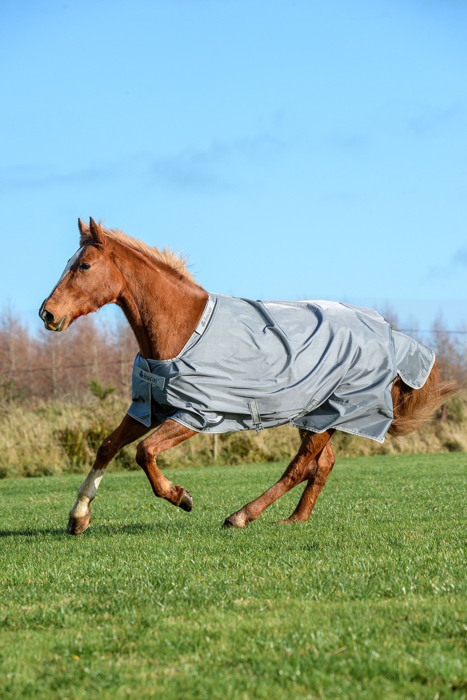 Bucas Smartex Extra Dywan 300g