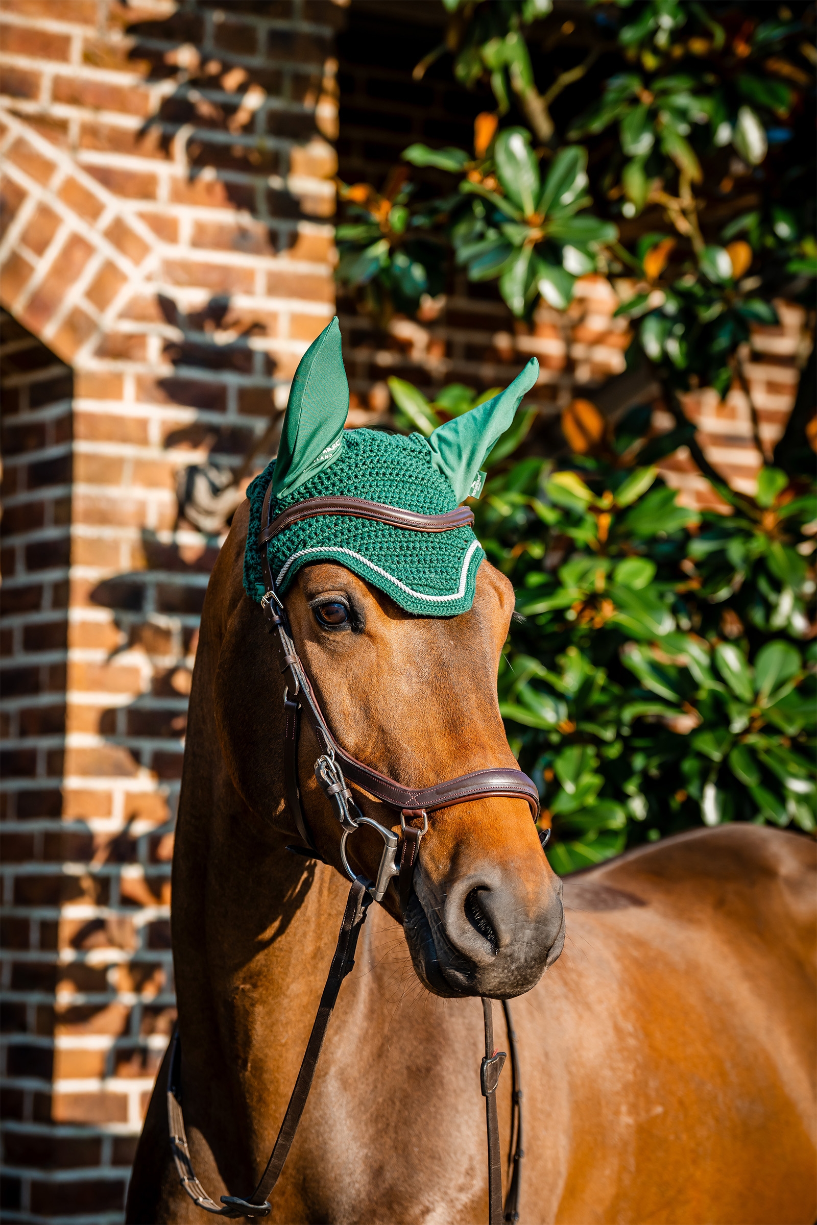 Hunter Green Horseware Nauszniki Signature 