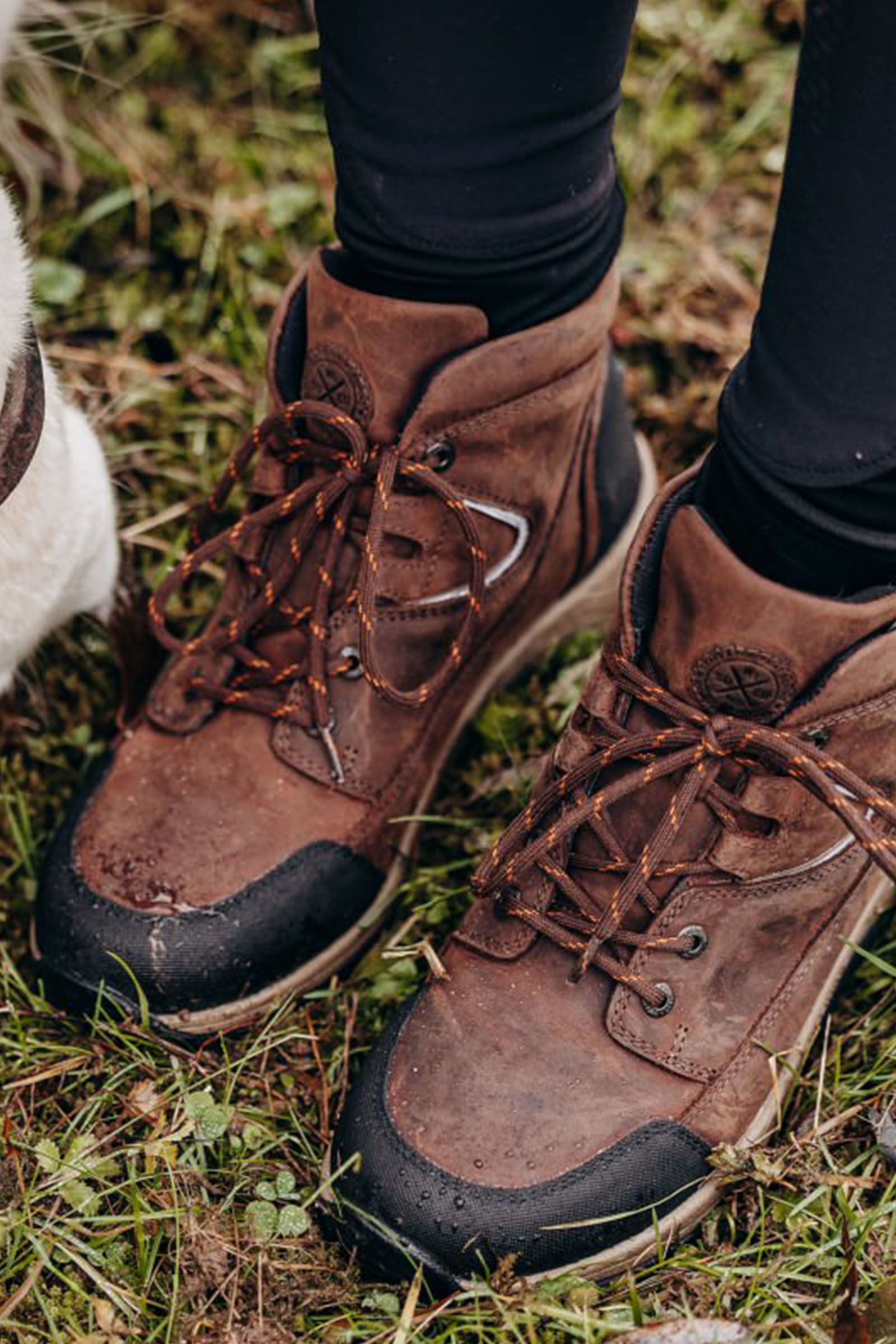 Suedwind Footwear Field GripFTX buty ze sznurowaniem