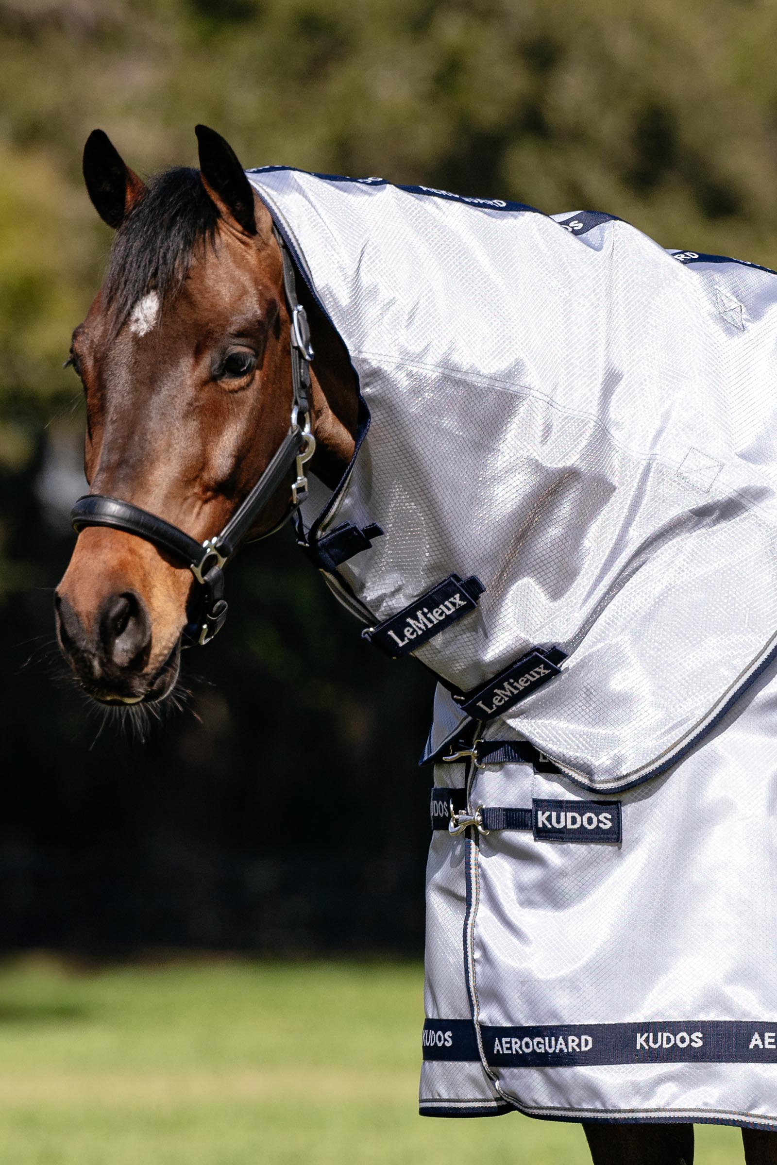 LeMieux Kudos AeroGuard derka przeciw owadom z odpinanym kapturem