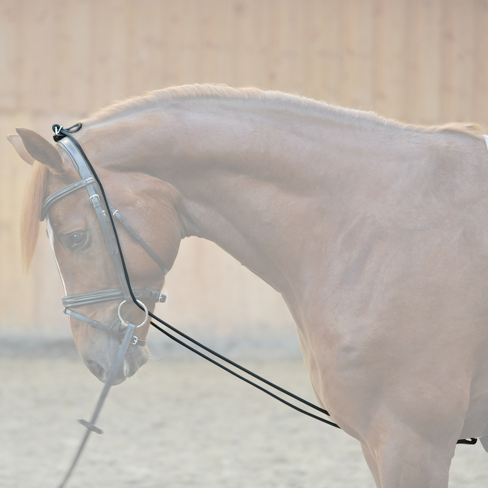 Bungie Kavalkade, elastyczne